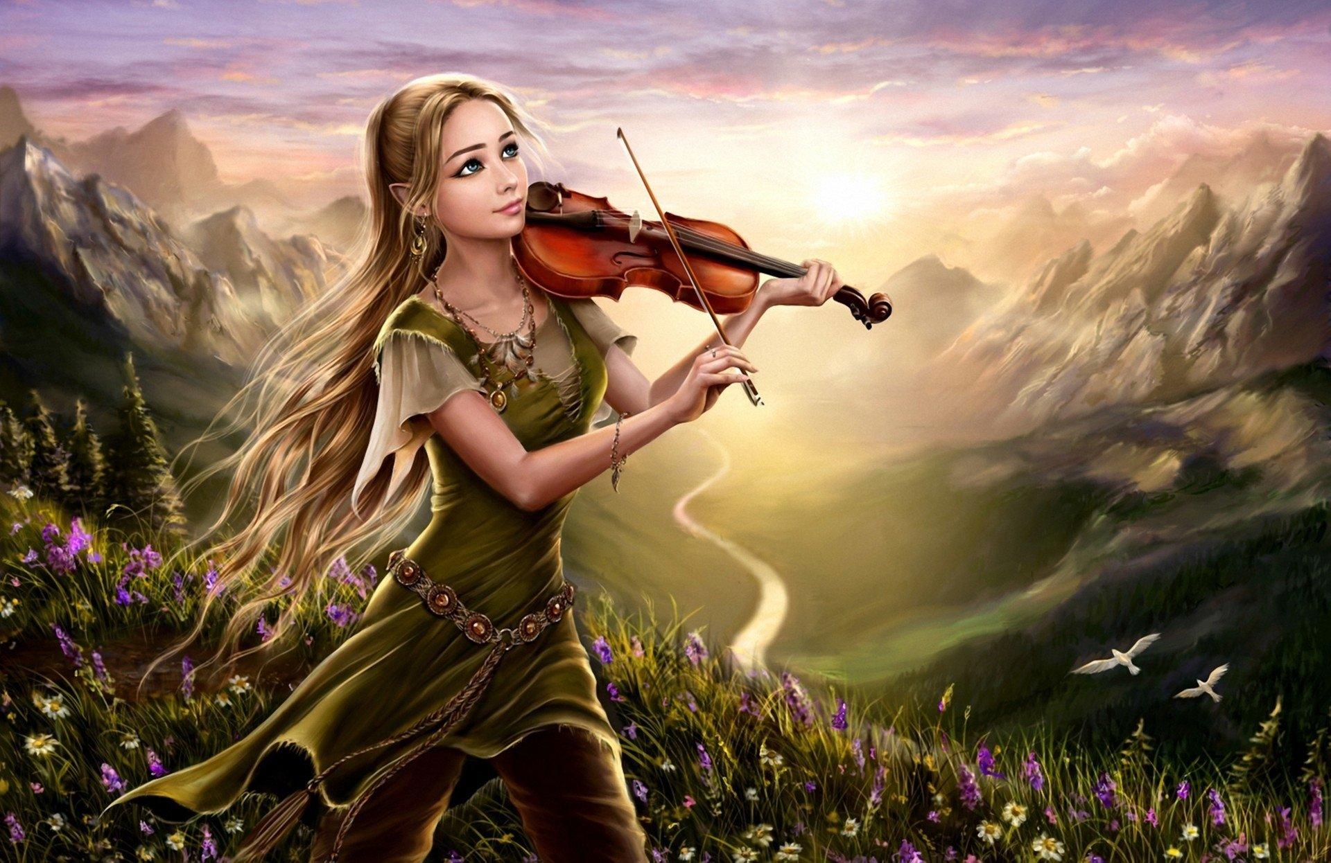 Violin HD Wallpaper and Background Image