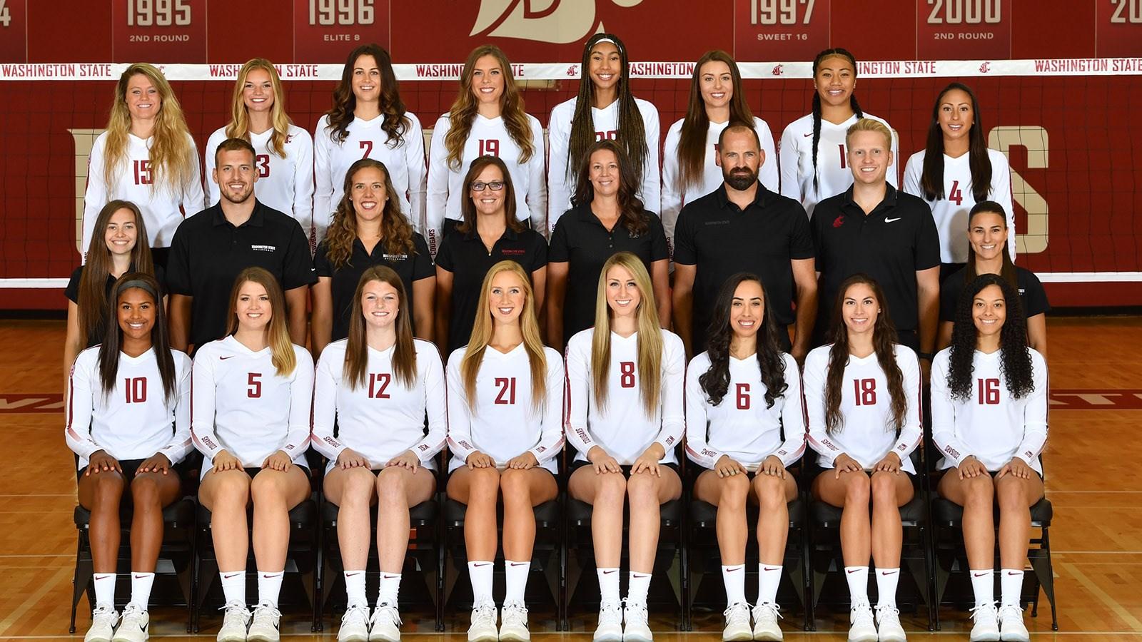 Washington State Volleyball Wallpapers Wallpaper Cave   Wp4524515 