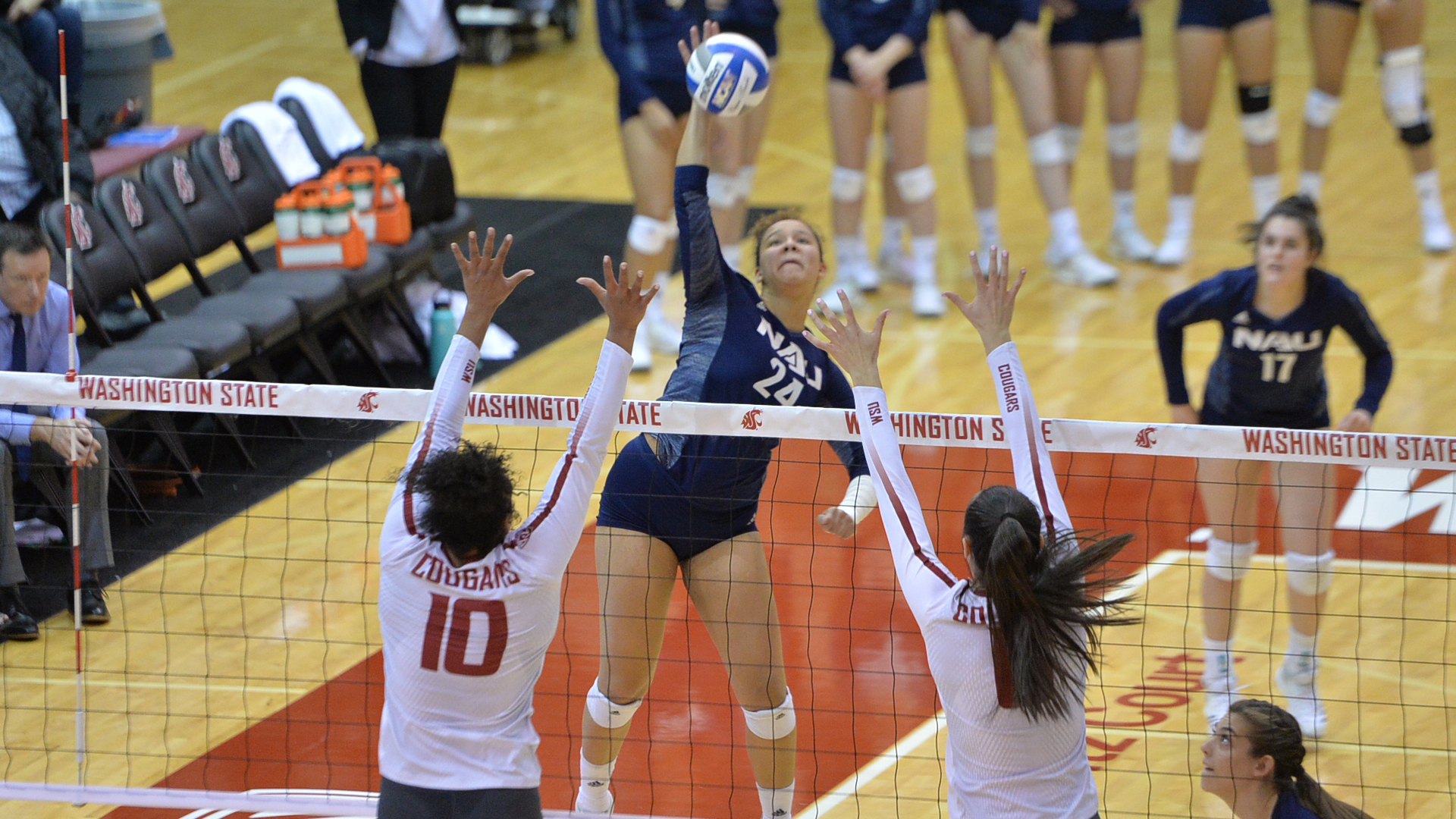 NAU Volleyball Pushes Washington State, Falls in the First Round