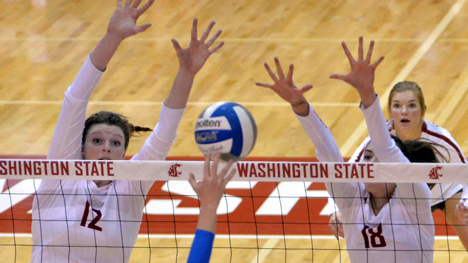 Washington State University Women's Volleyball All Skills Camp