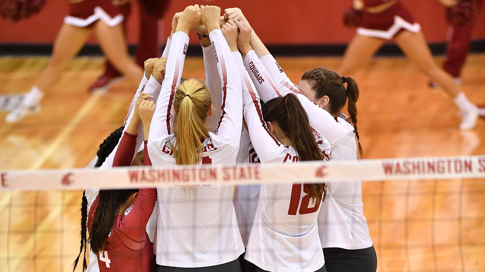 Volleyball Back In Full Swing State University Athletics