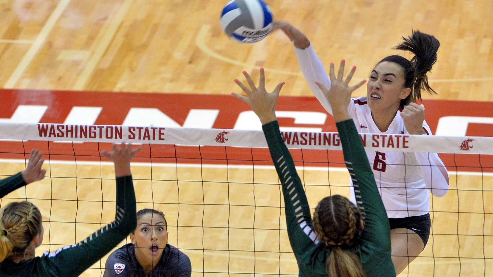 Washington State Volleyball Wallpapers - Wallpaper Cave