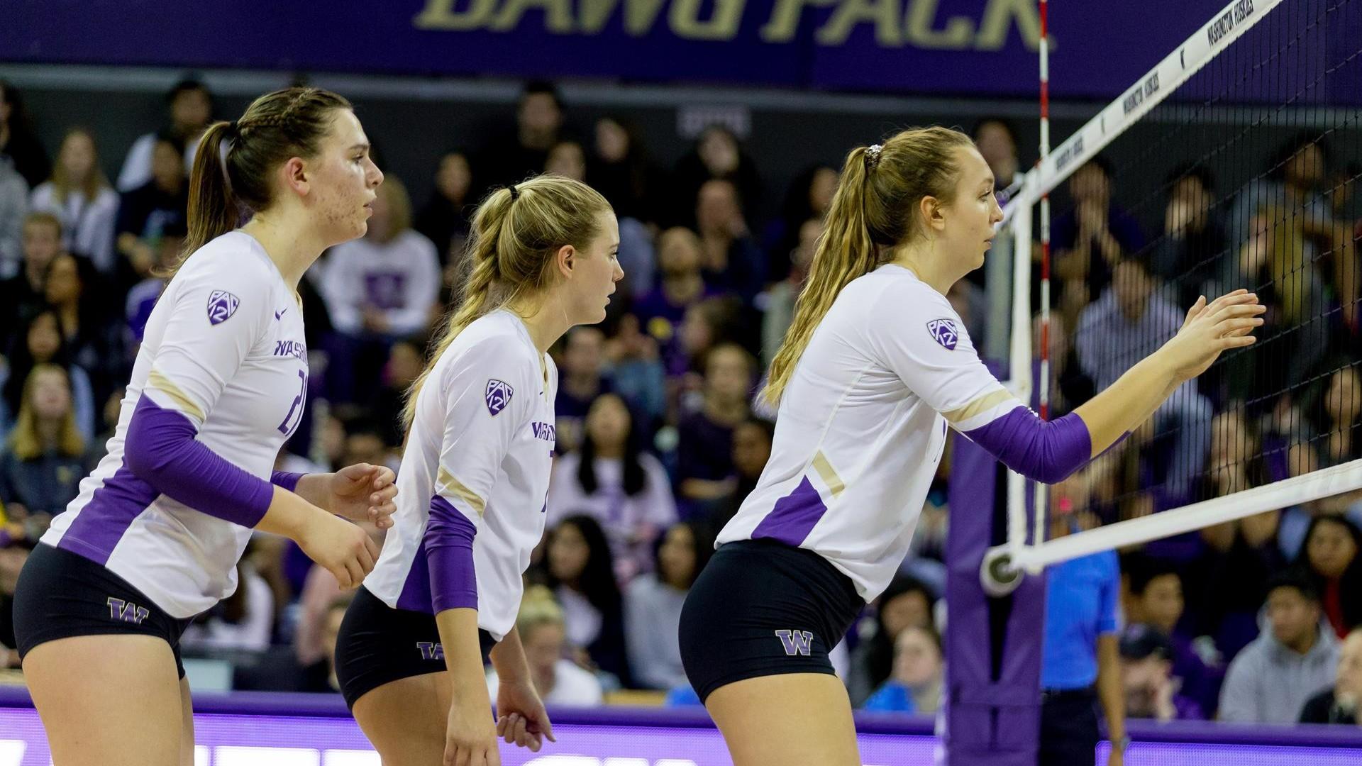 Washington State Volleyball Wallpapers Wallpaper Cave