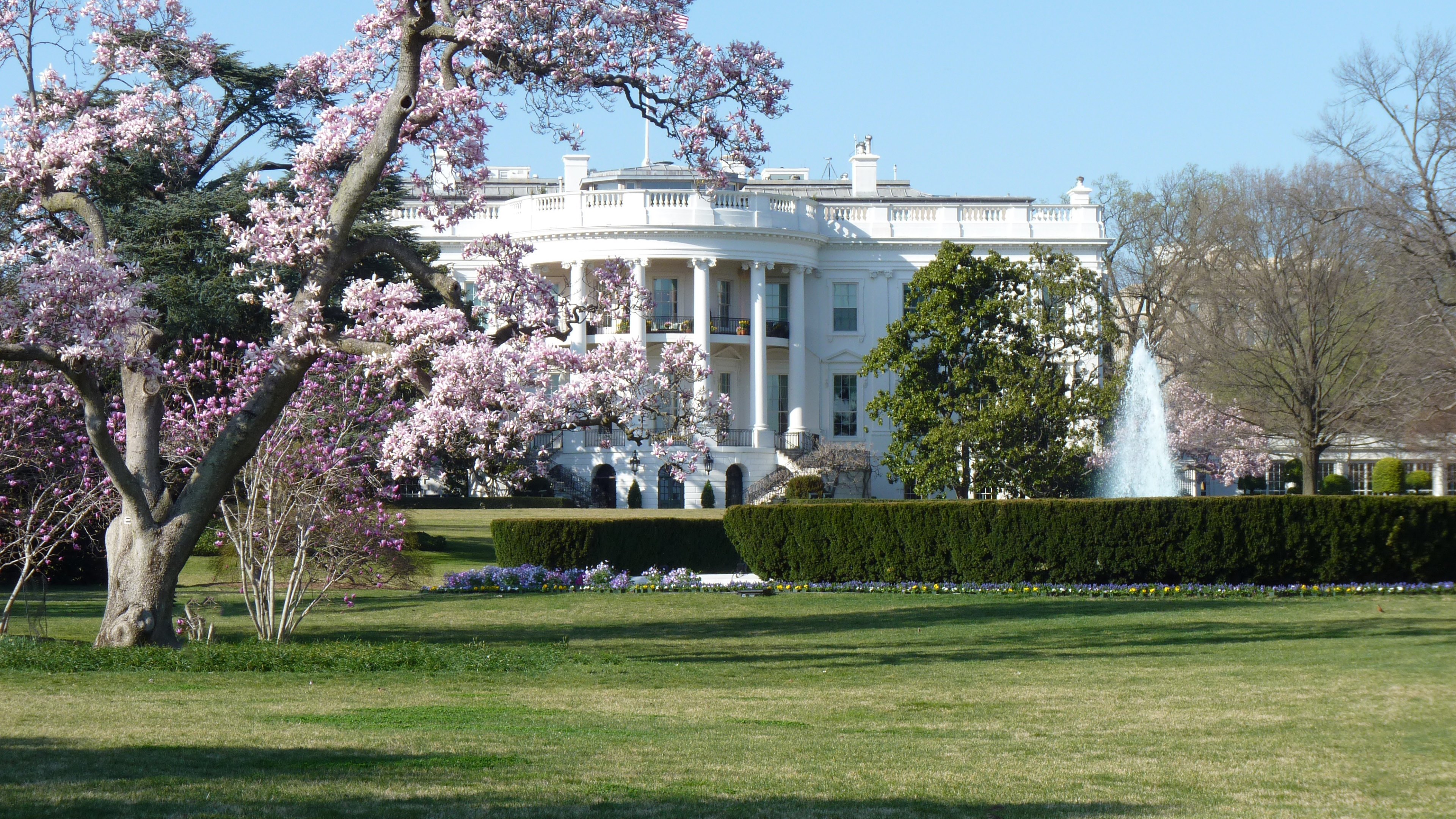 White House 4k Ultra HD Wallpaper. Background Imagex2160