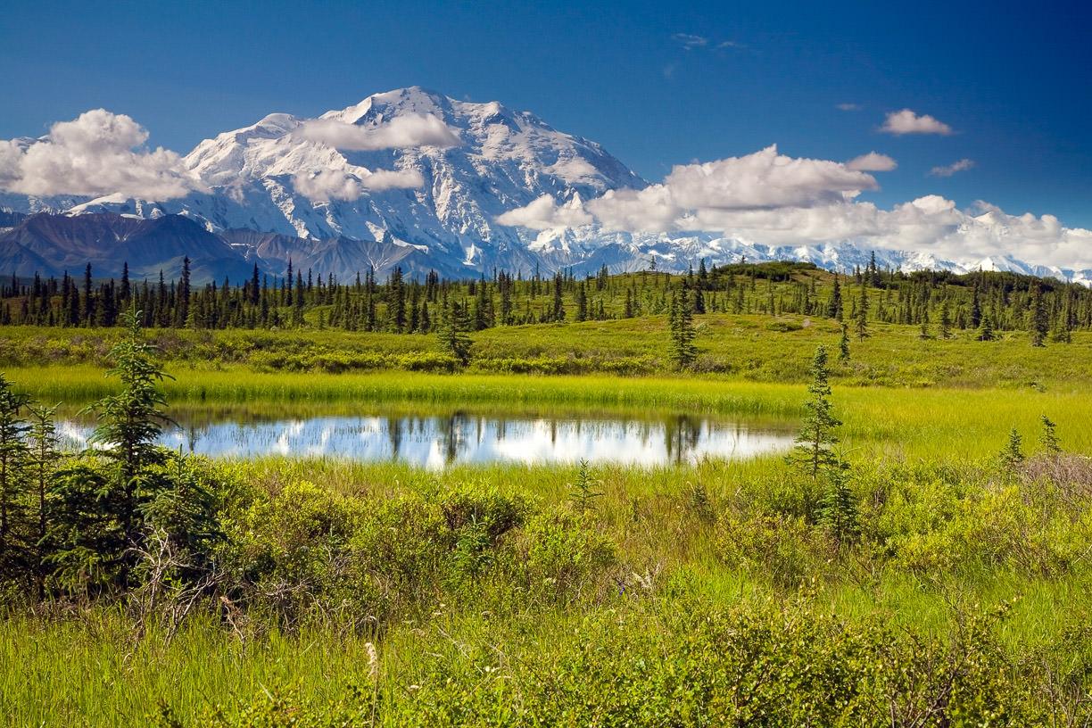 Wonder Lake Jewel Of Denali Park (Mile 84.5)