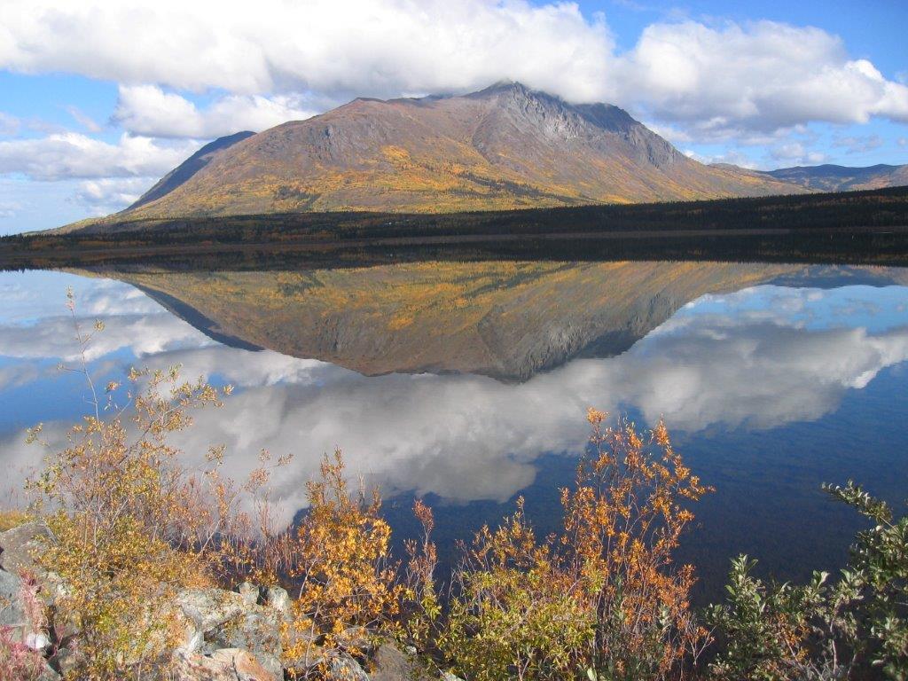 Alaska Shore Experts The Yukon