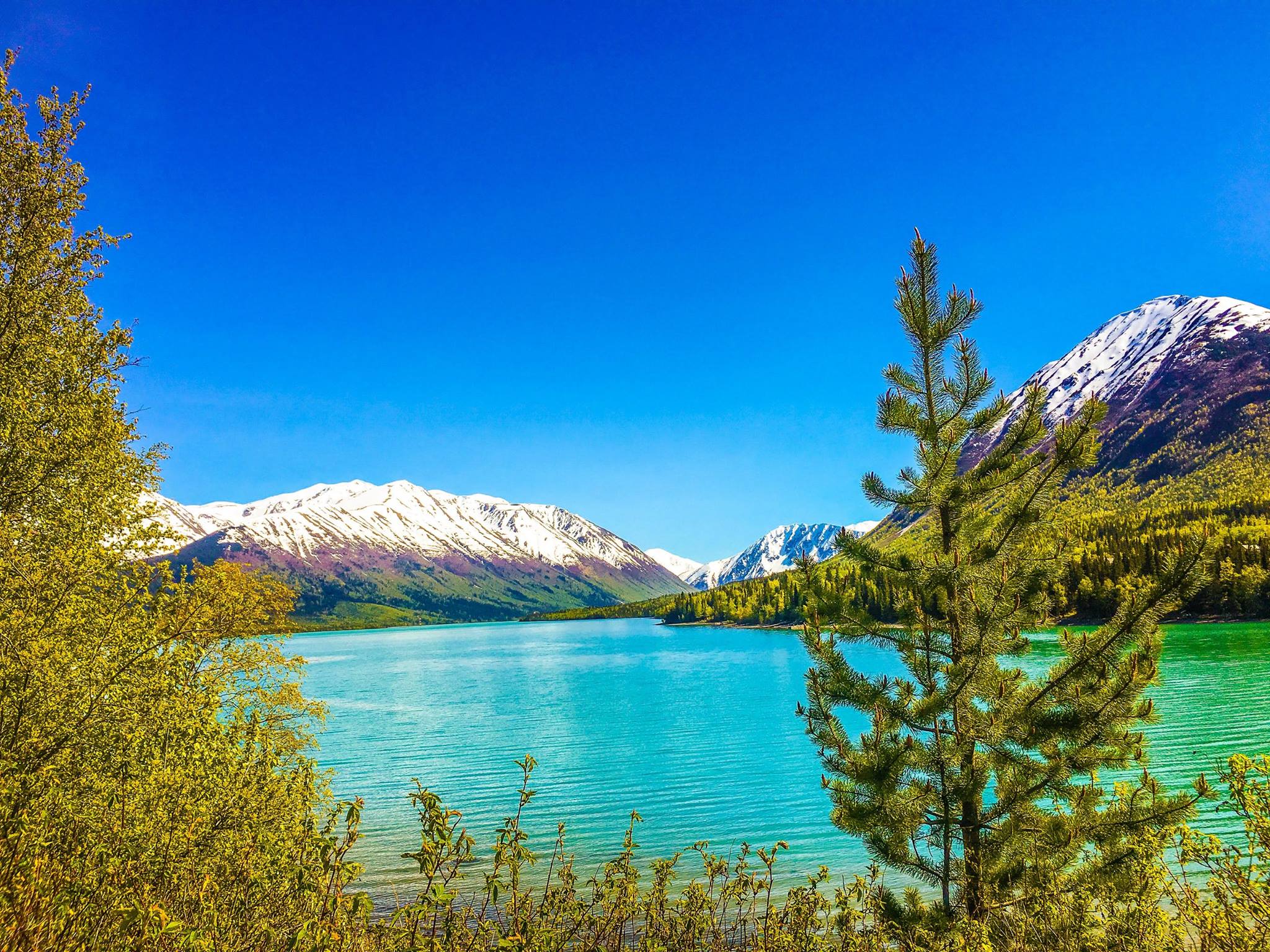 Incredible Alaska Lakes That Will Demand Your Attention This Summer