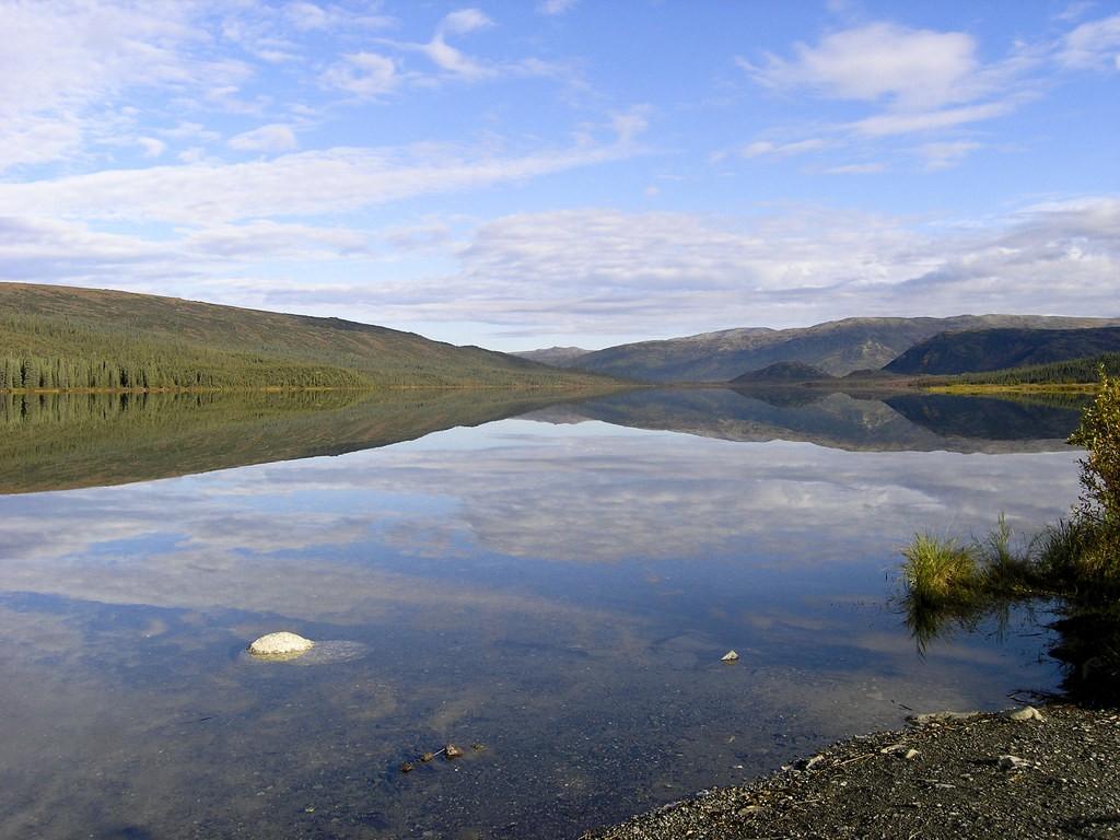 Driving From Anchorage To Denali: The Most Dreamy Stops