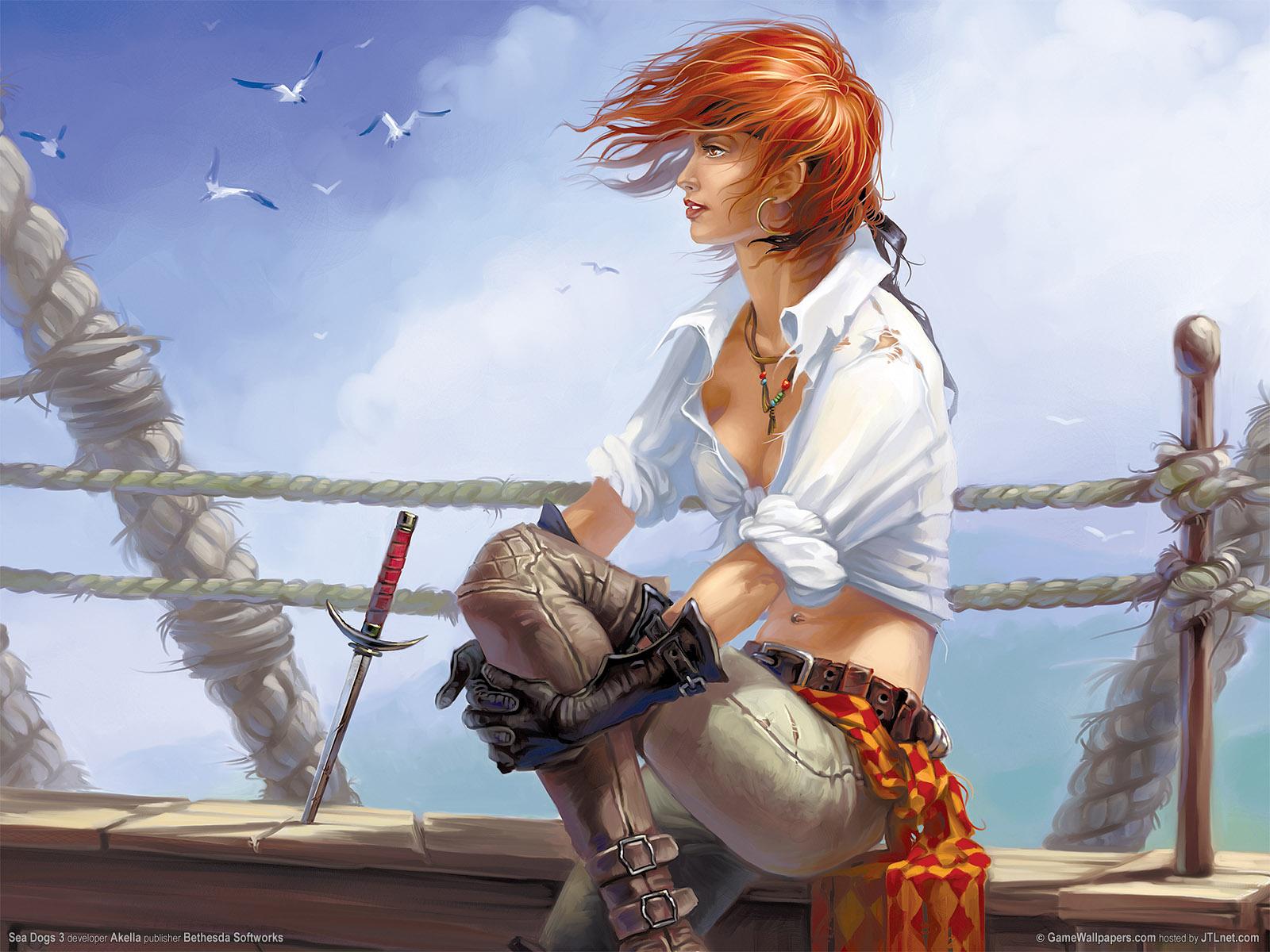 Sea Dogs 3 Games Wallpaper Wide Populars Games Wallpaper Res