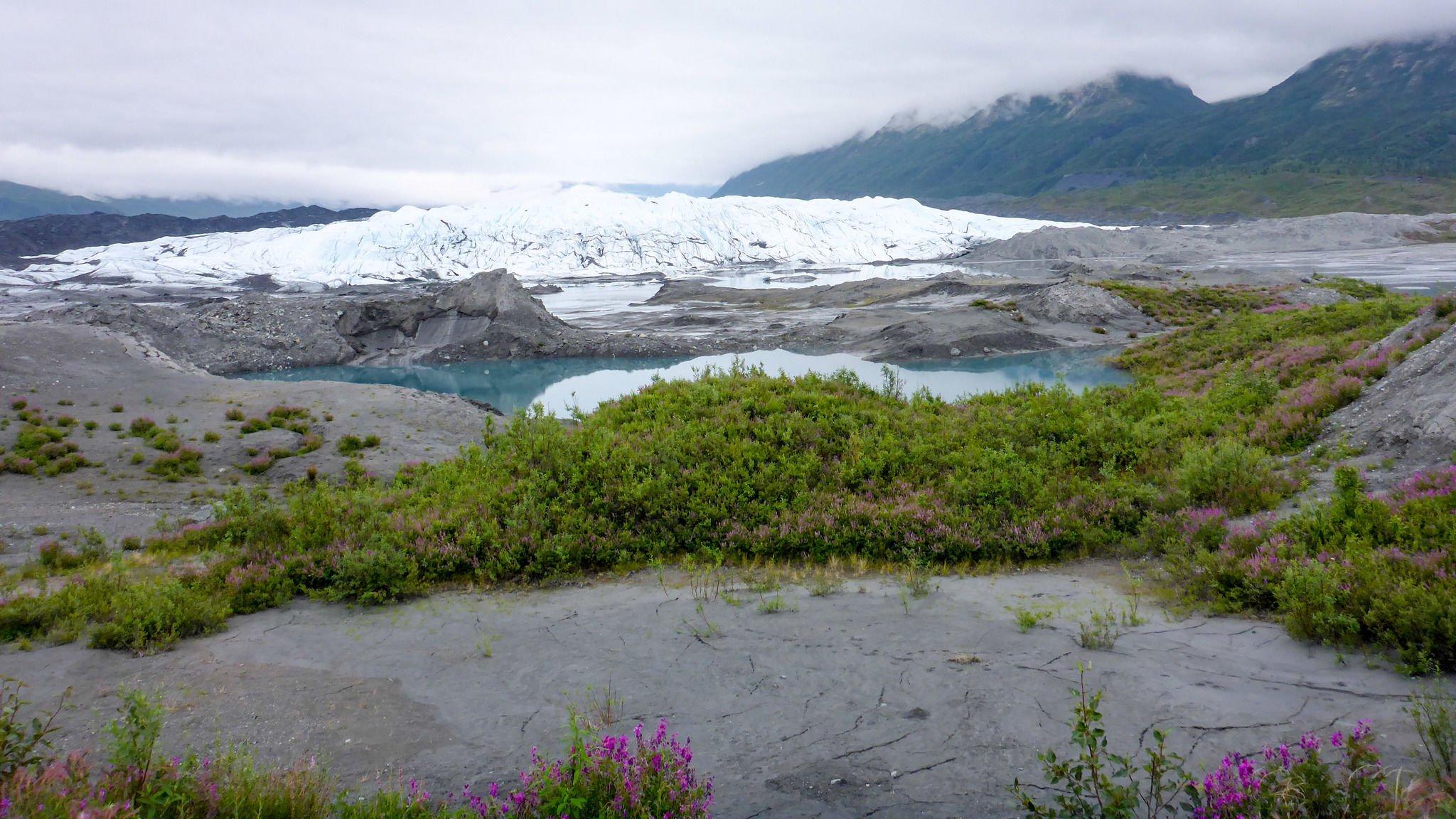 The Matanuska Glacier Trail Leads To A Stunning Glacier In Alaska