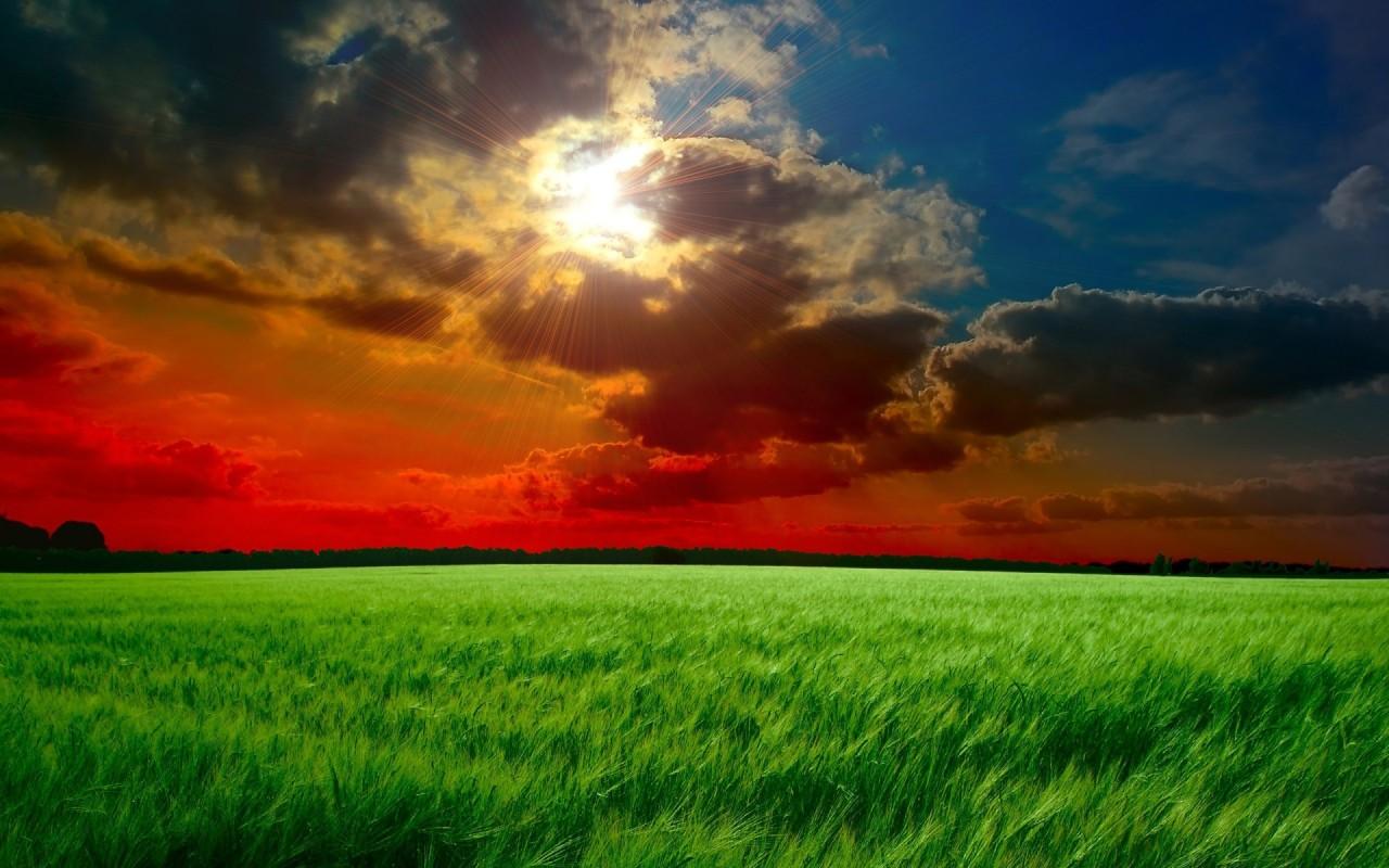 Hidden Sun & Wheat Field wallpaper. Hidden Sun & Wheat Field