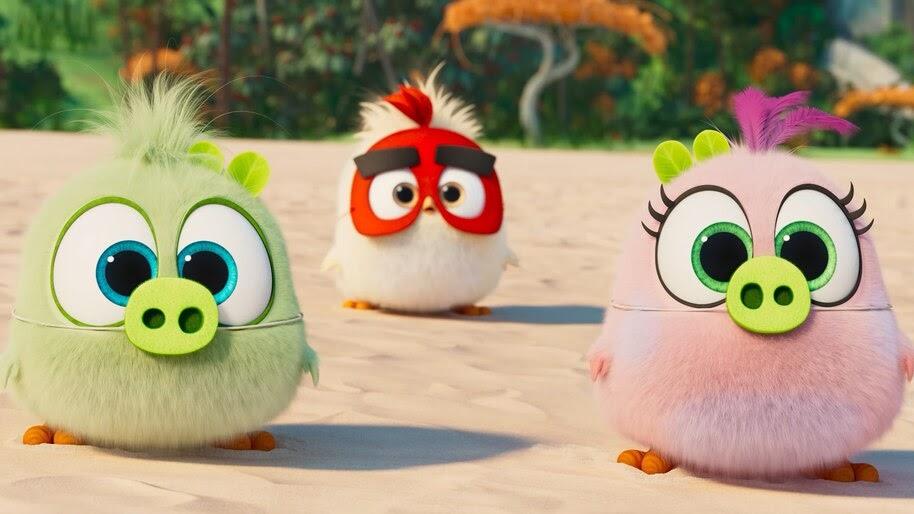 Ultra HD 4K Angry Birds Movie 2 Zoe Vincent Samantha 3840x2160 Wallpaper. Birds Movie 2 Zoe Vincent Samantha 4K Wallpaper Birds Movie 2 Vincent Wallpaper