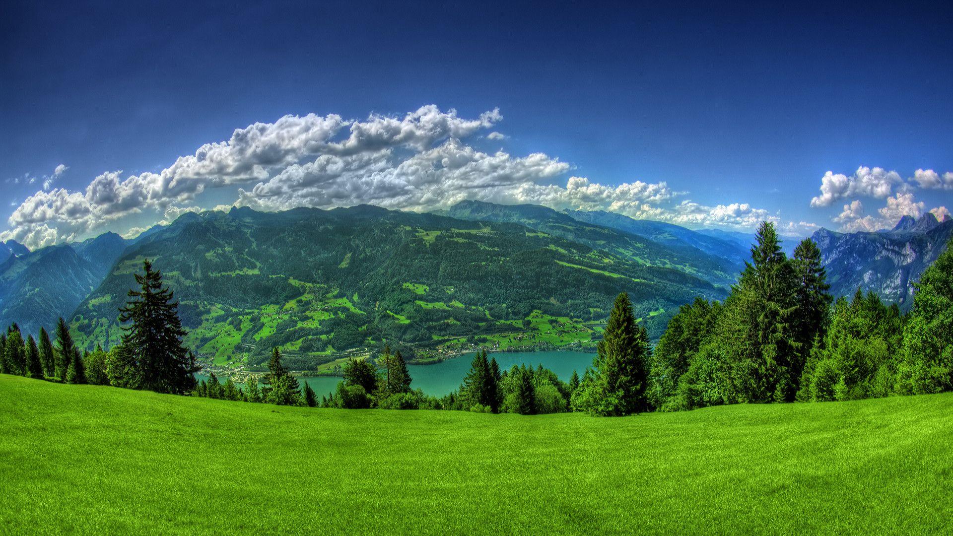 Free HD Wallpaper For Desktop