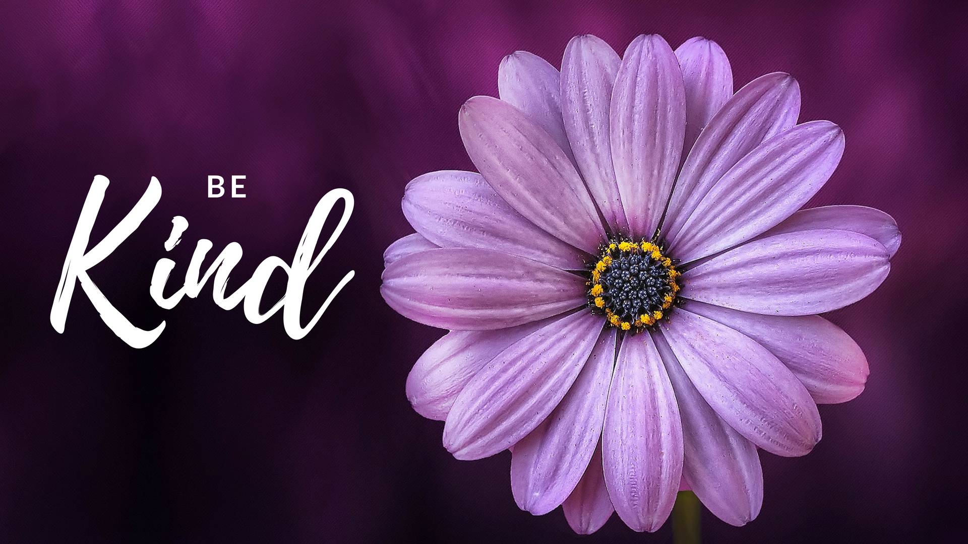 Be Kind {Free Desktop Wallpaper} It Real In Jersey