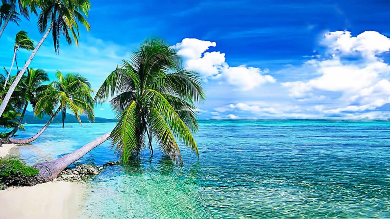 Free download Latest HD Wallpaper for PC amp Mobile Download