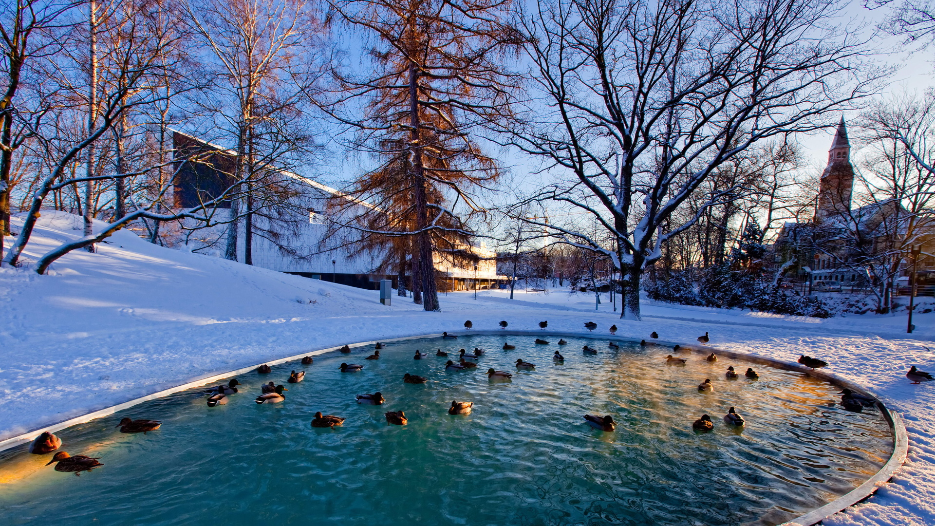 winter free desktop wallpaper