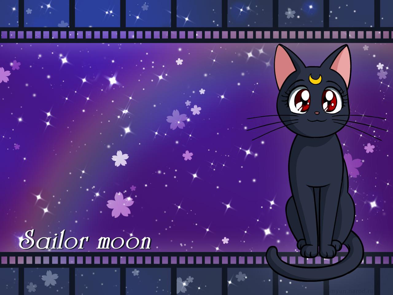 Luna Sailor Moon Wallpaper , Find HD Wallpaper For Free