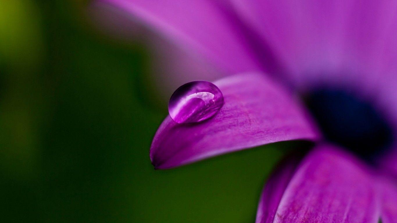 Nature Wallpaper For Desktop Full Size Free Download - Group