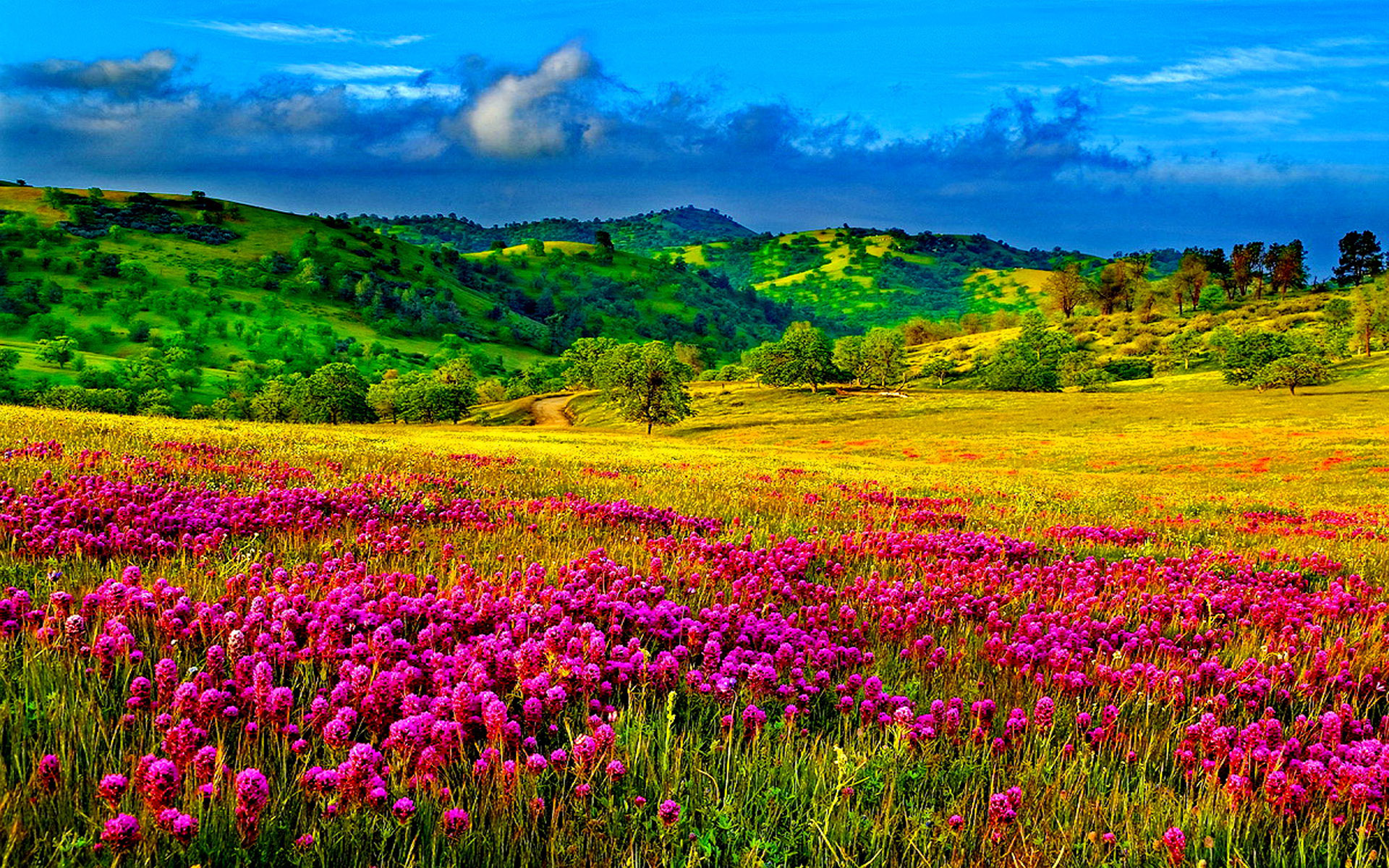Meadow With Purple Flowers, Hills With Trees And Green Grass Sky