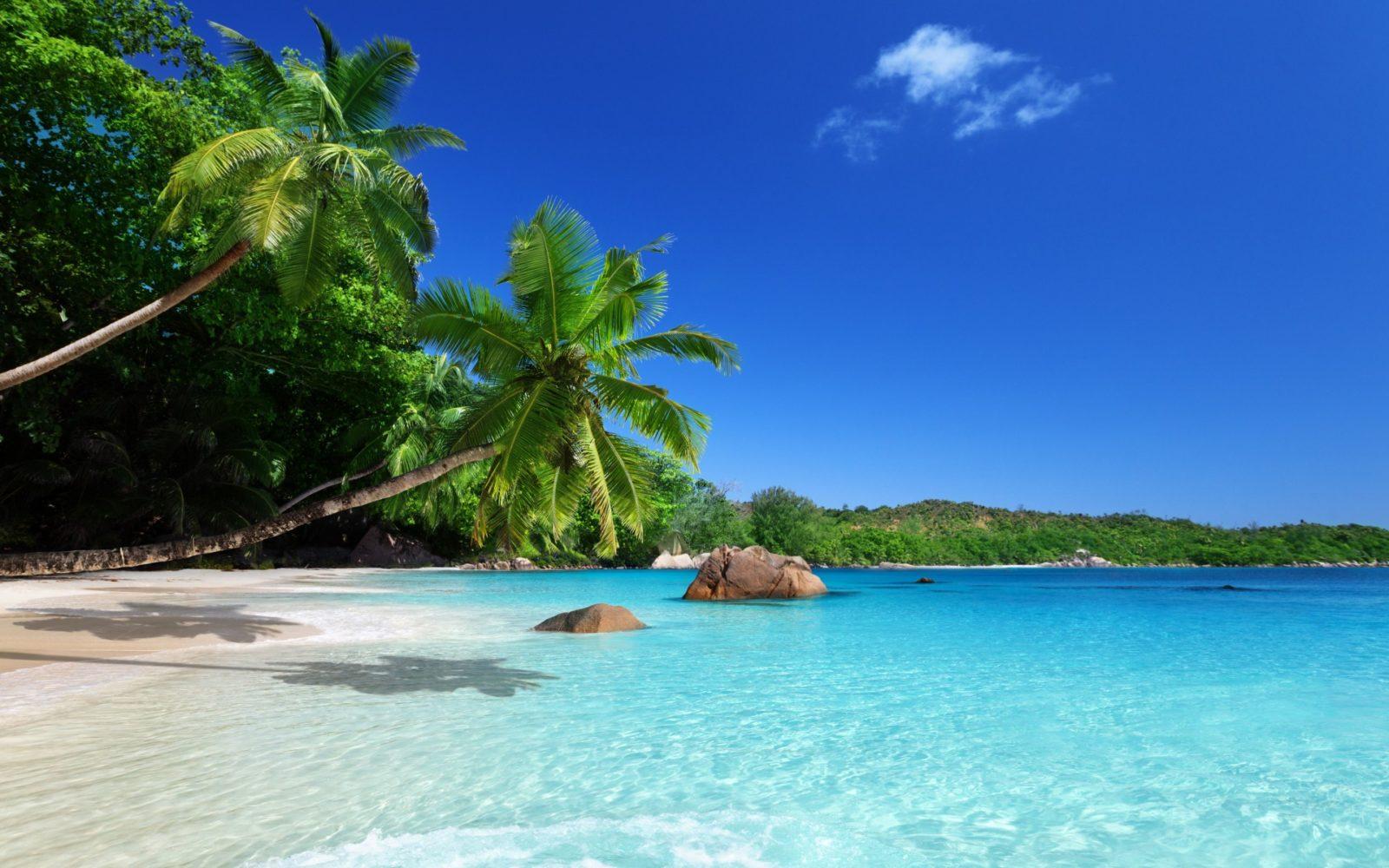 Hawaiian Finds 'Real Paradise' in Panama, Punta Pacifica Realty