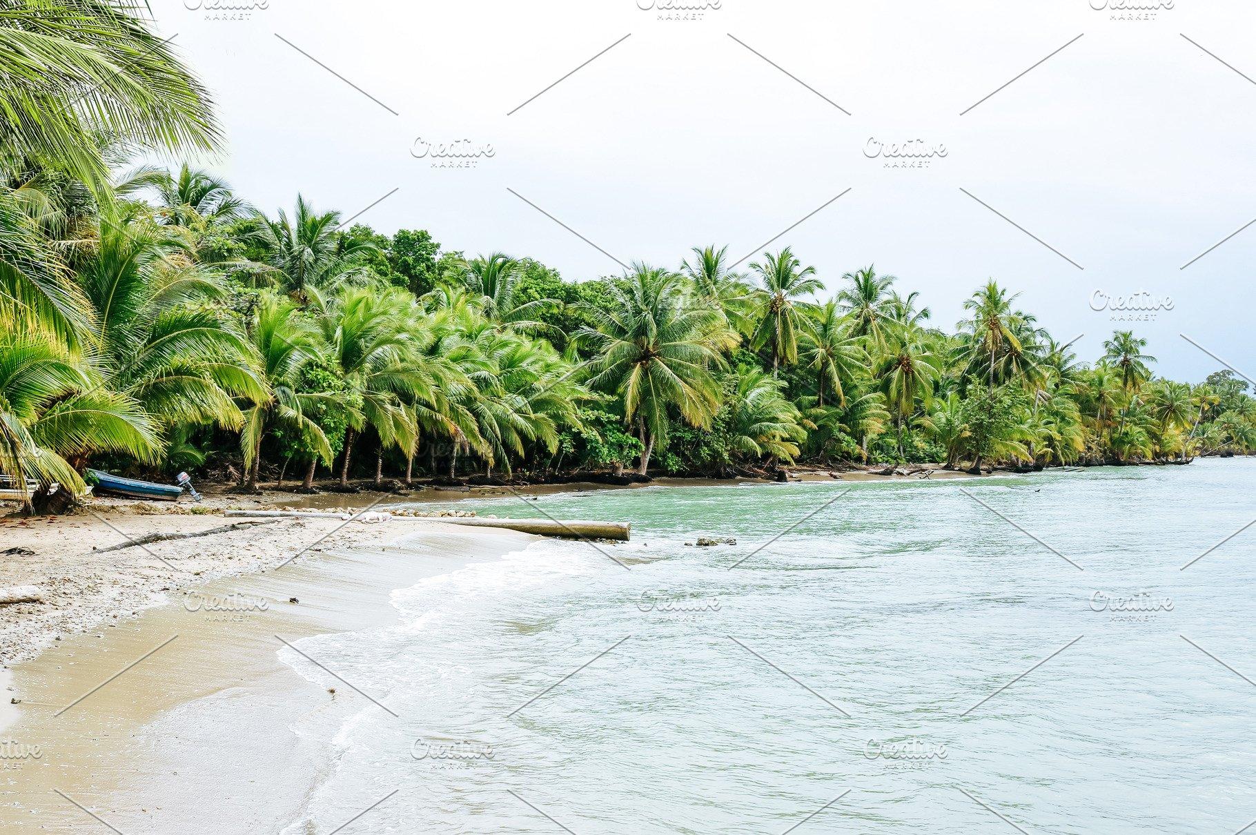 Tropical island beach in Panama
