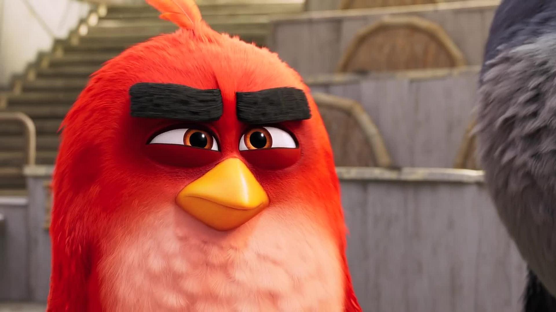 Red The Angry Birds Movie 2 Wallpaper 43363