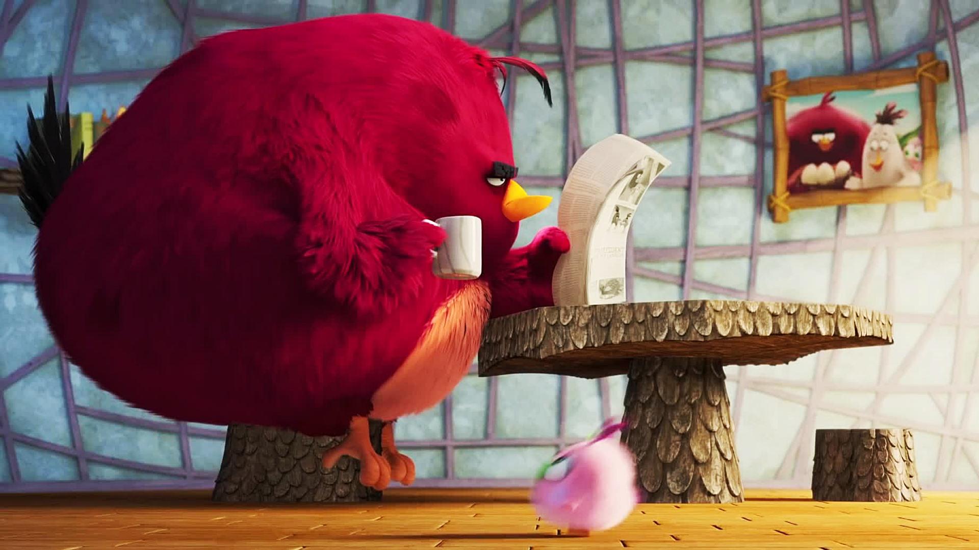 Fat Bird The Angry Birds Movie 2 Wallpaper 43307
