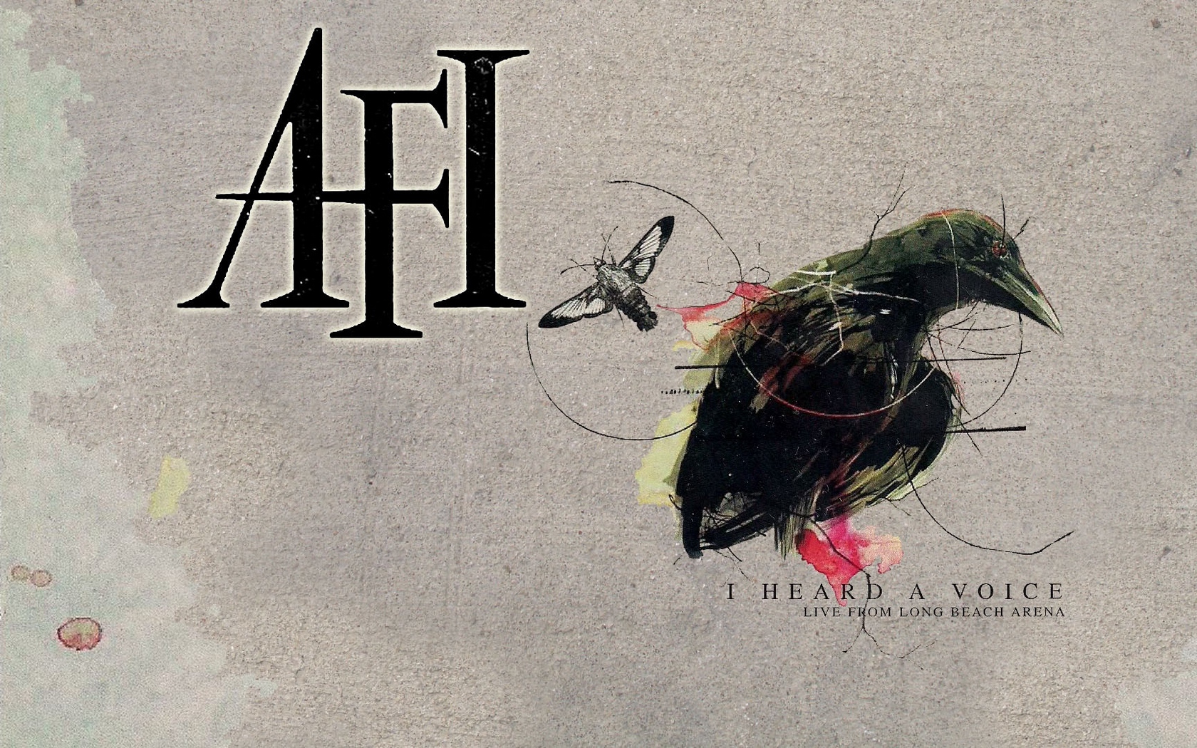 Download wallpaper 1680x1050 afi, bird, insect, cover, text