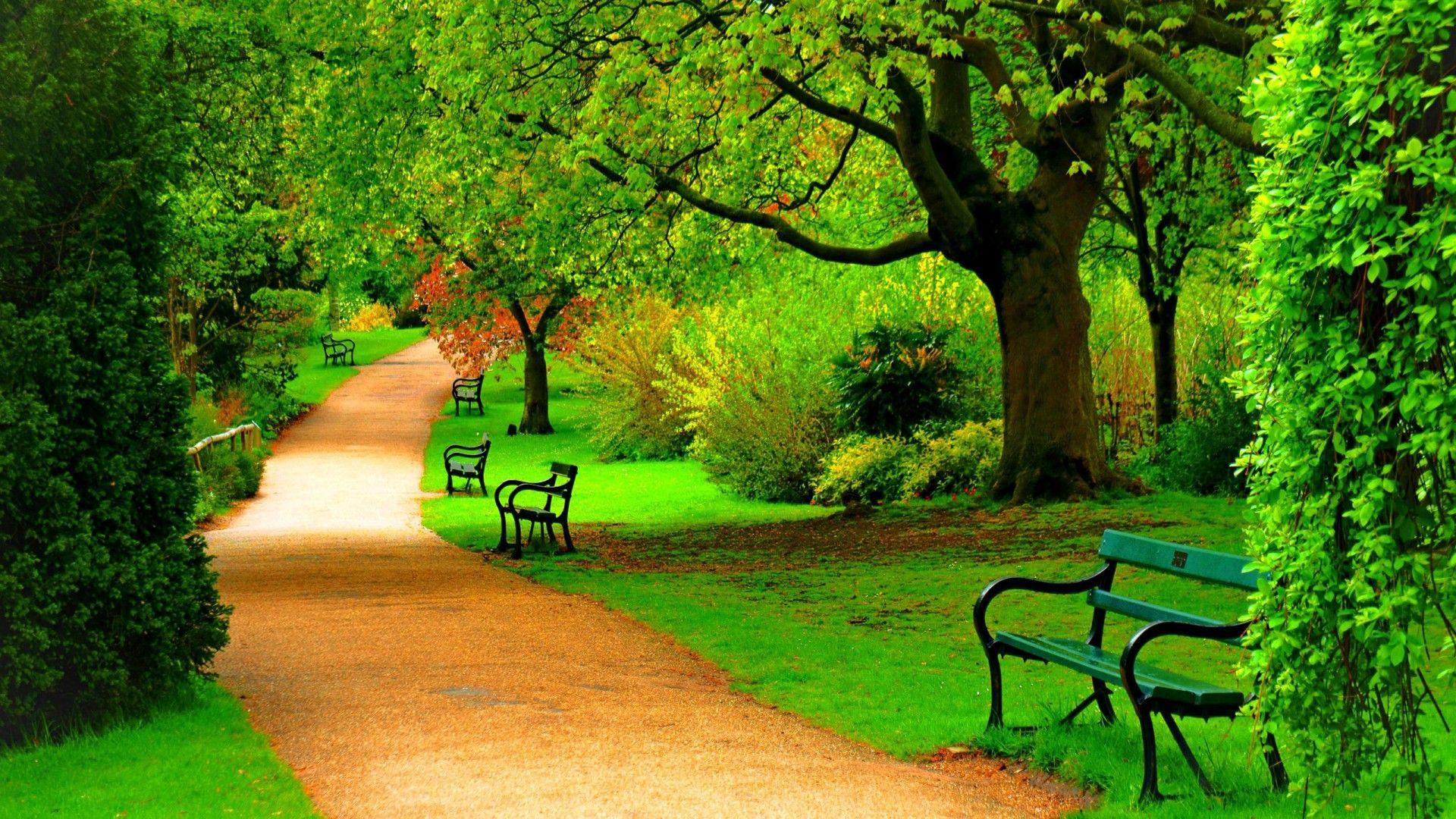 Green Park Background Images Download - IMAGESEE