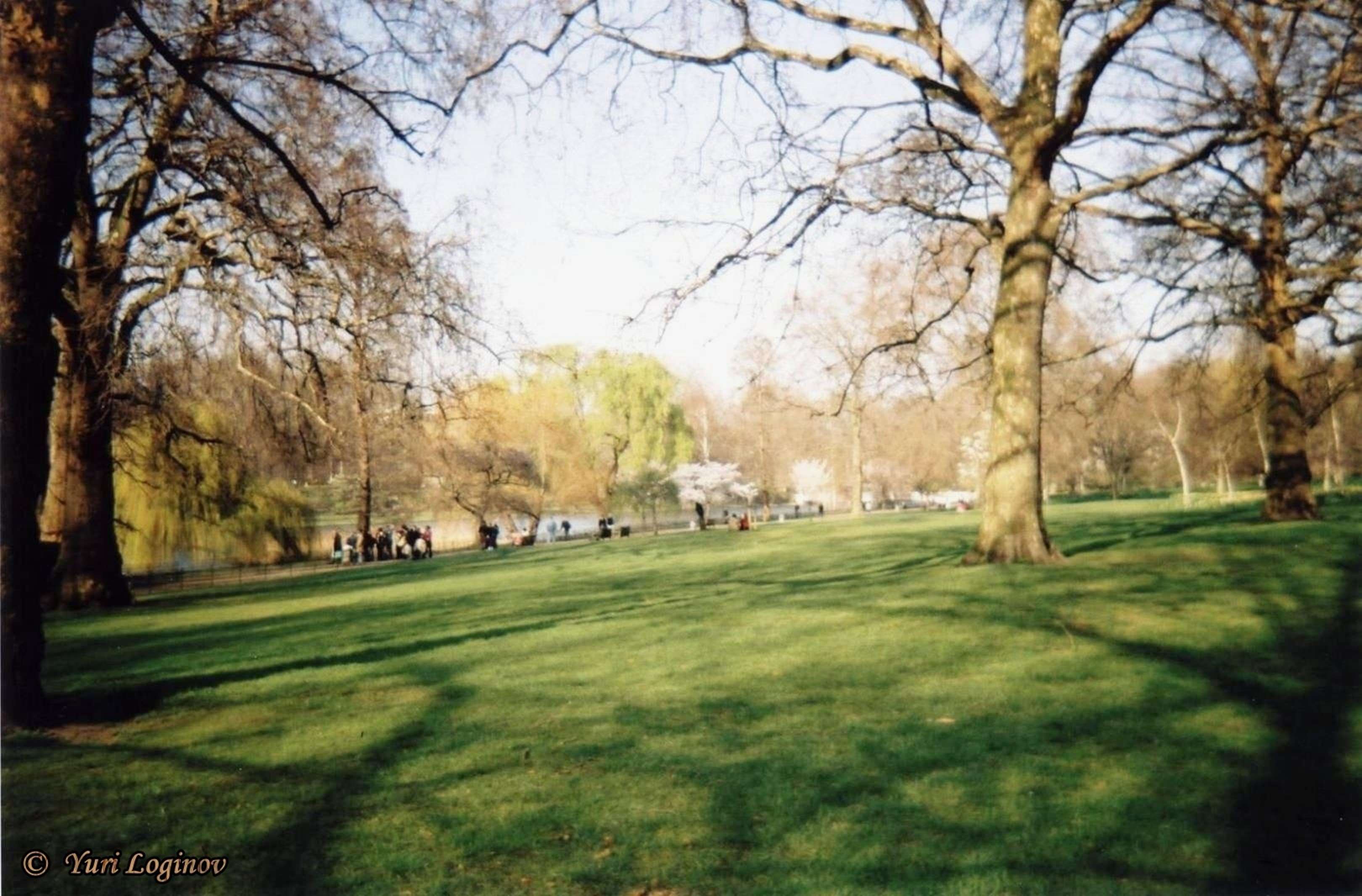england, green park, london, united kingdom wallpaper