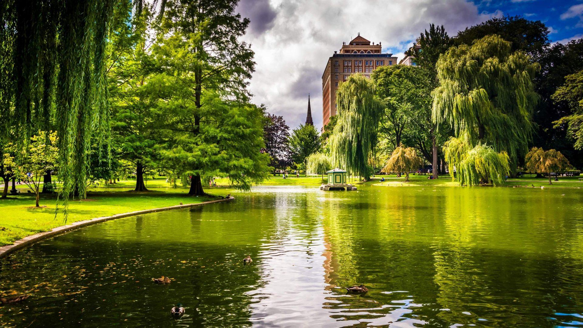 Park in Boston, Massachusetts HD Wallpaper. Background Image