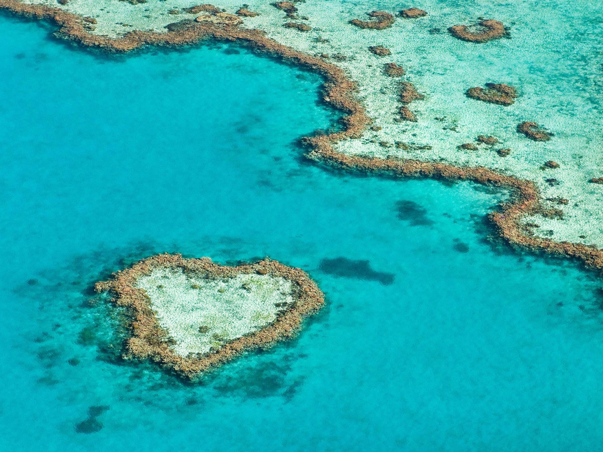 This Valentine's Day, Fall In Love With These Heart Shaped Islands