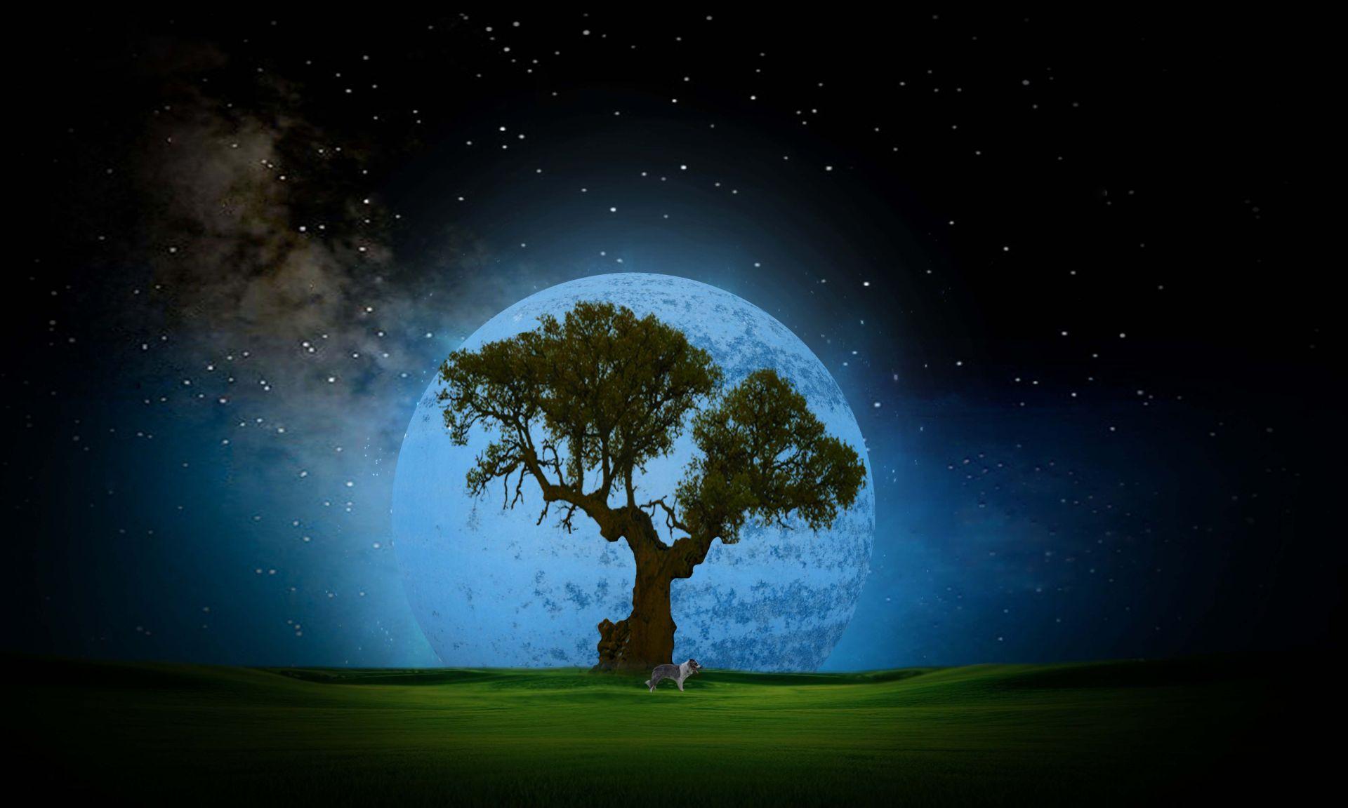 Night Fantasy Wallpapers Wallpaper Cave