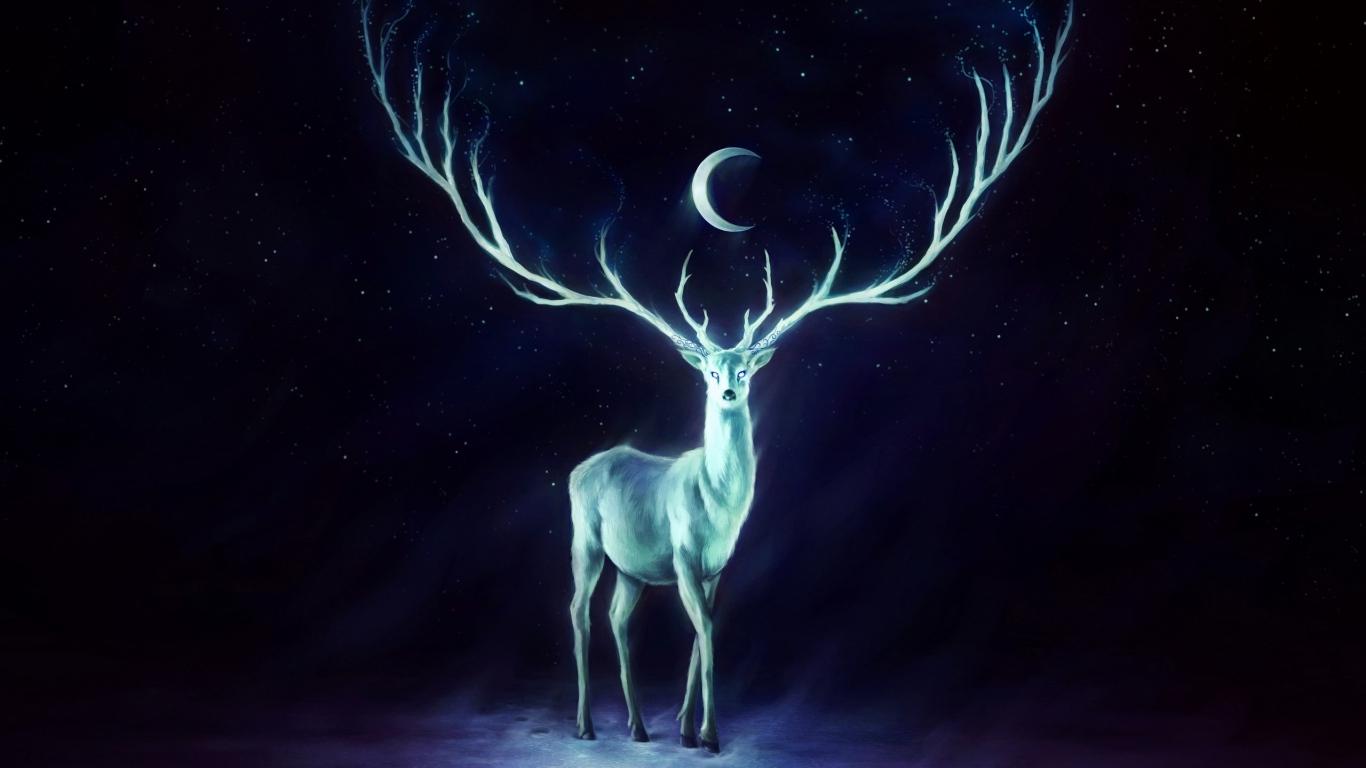 Deer Antlers Horns Moon Stars Night Fantasy Wallpaper