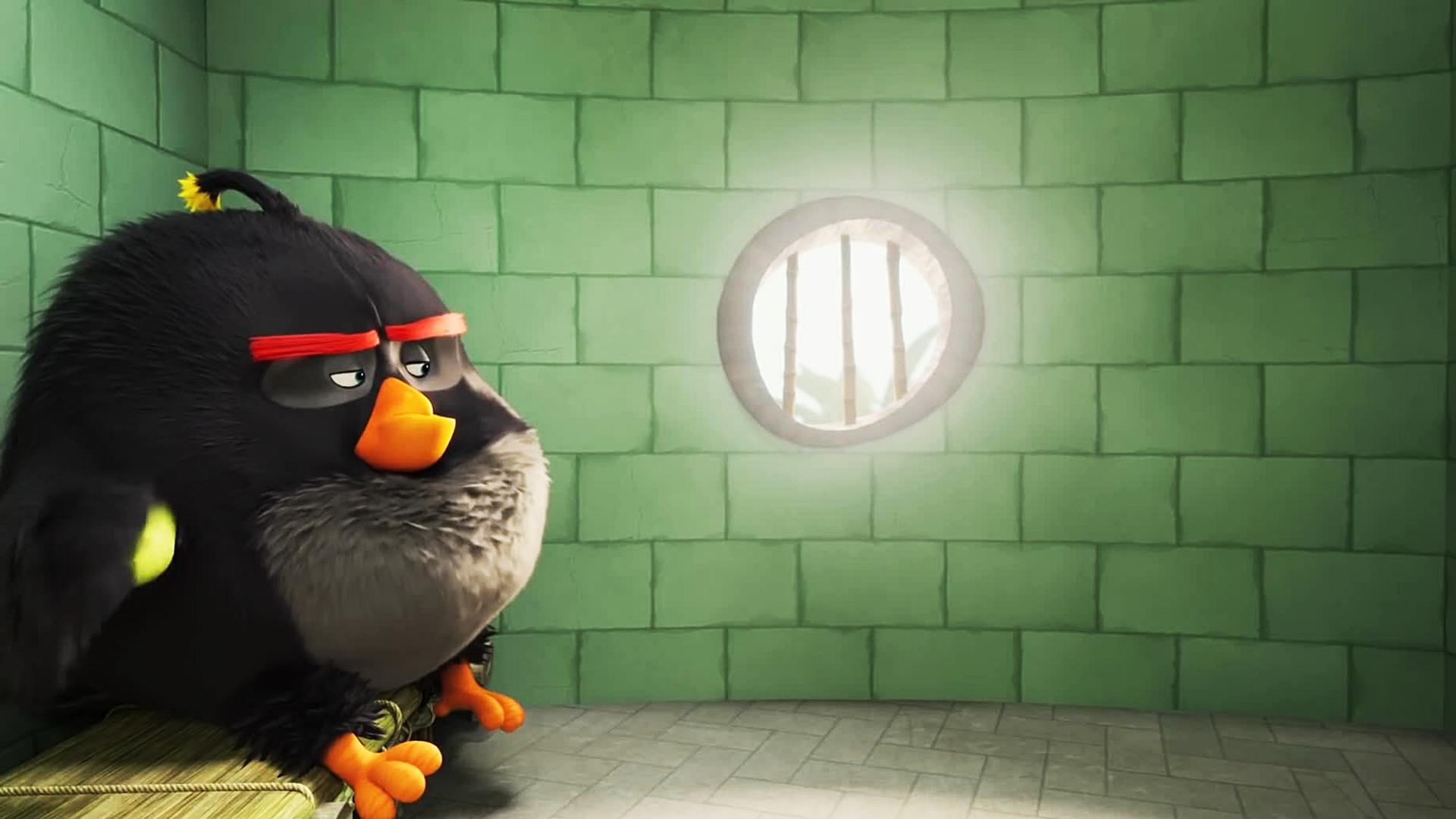 Bomb Bird The Angry Birds Movie 2 Wallpaper 43289