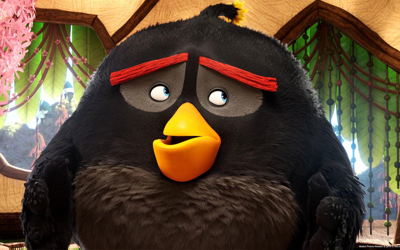 Bomb In The Angry Birds Movie 720P HD 4k Wallpaper, Image