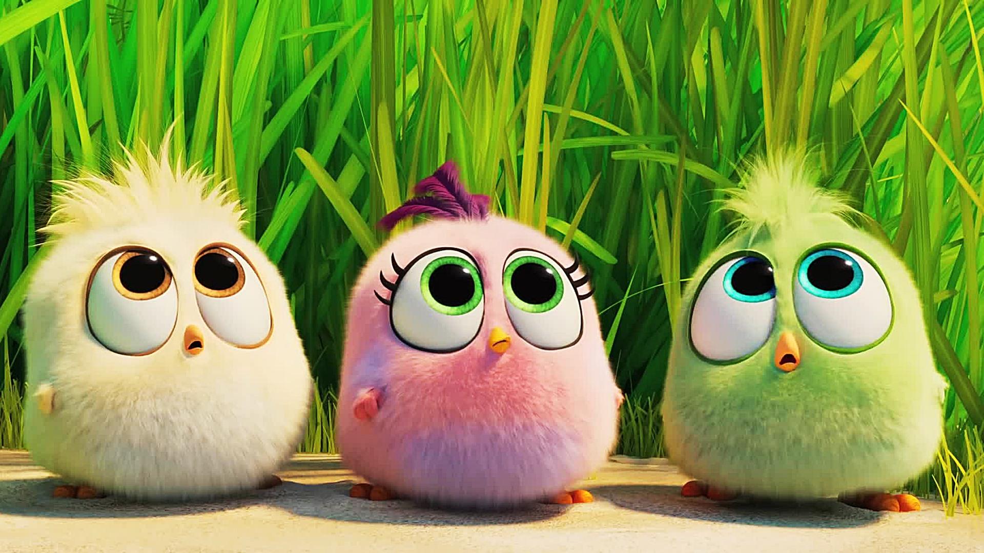 Baby Birds The Angry Birds Movie 2 Wallpaper 43280