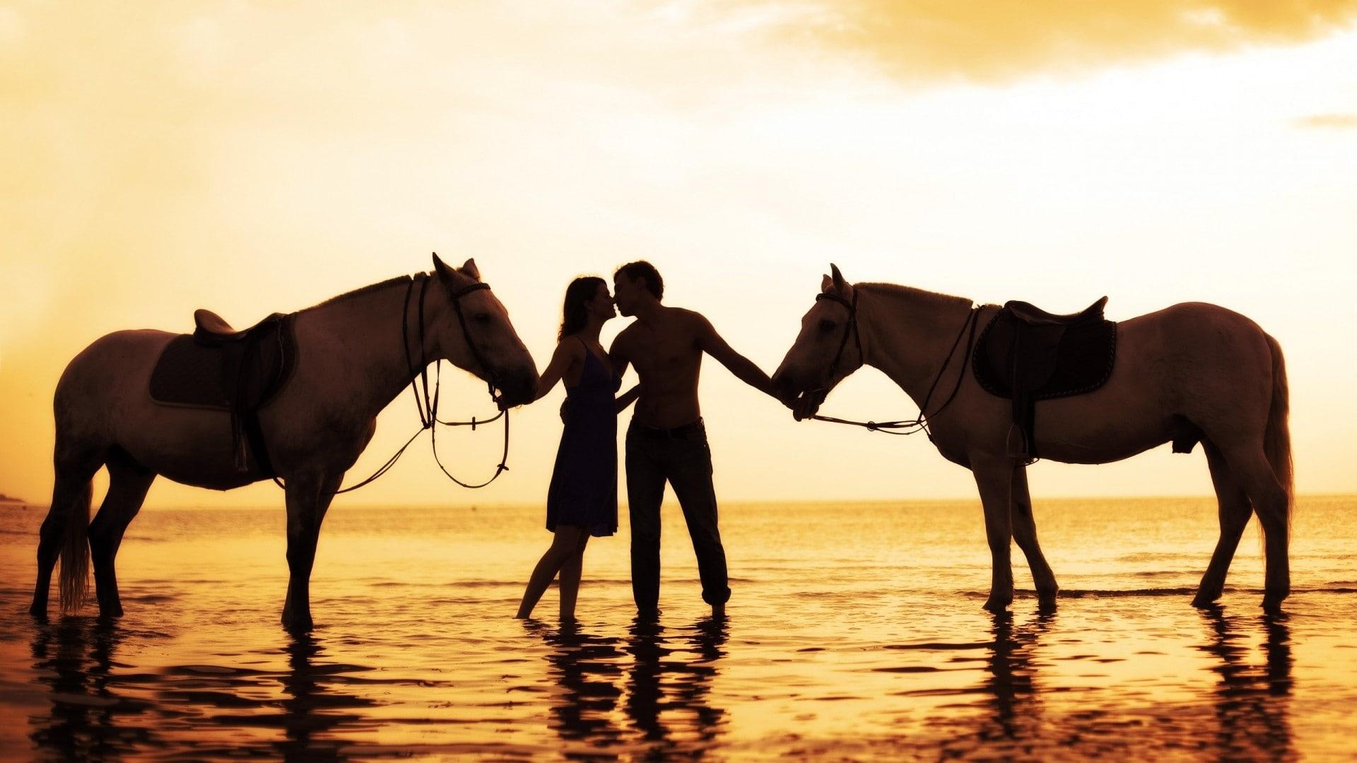 HD wallpaper: love happy horses valentines day 1920x1080 Animals