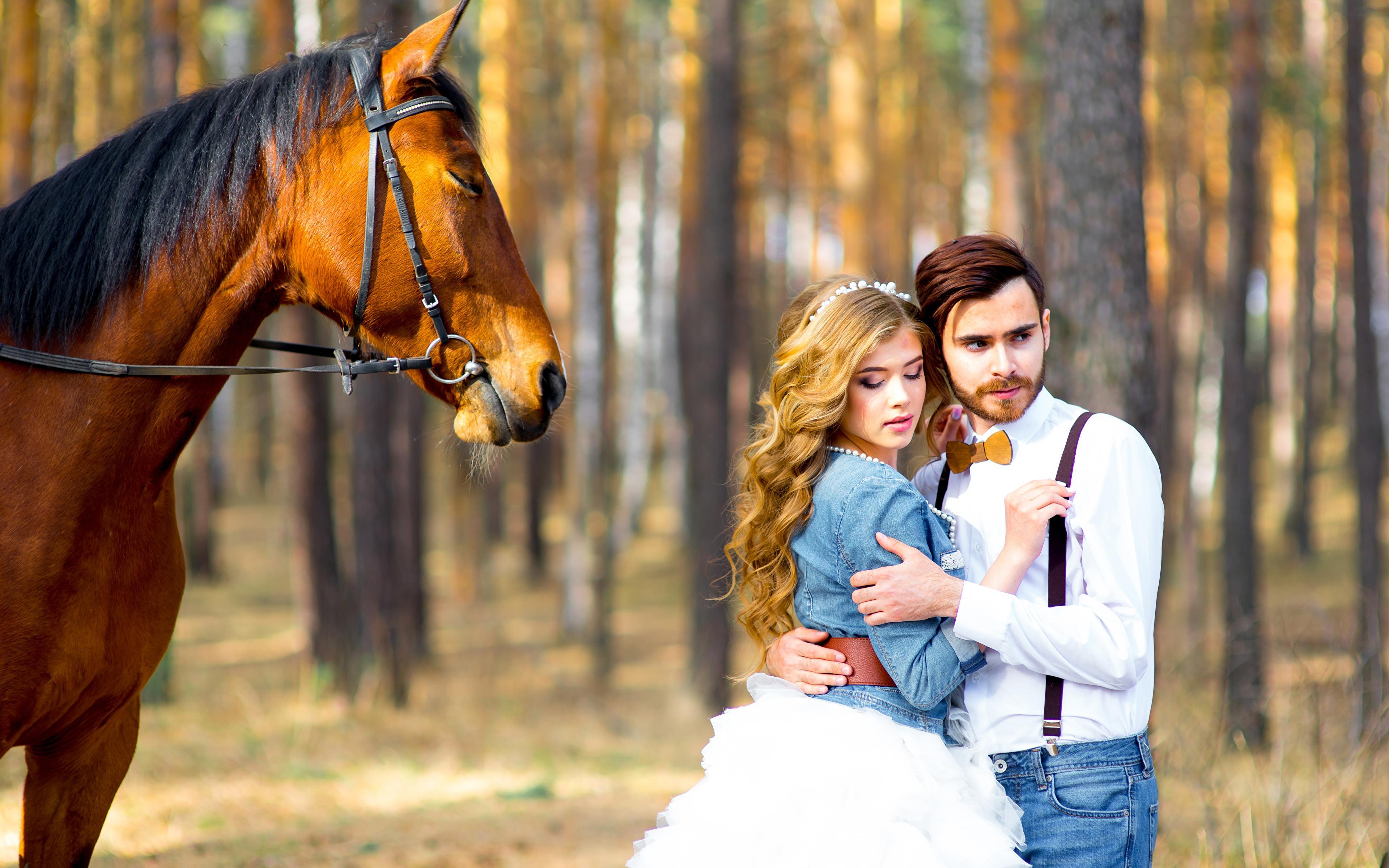 Wallpaper young woman grooms Horses Bride marriage Blonde 3840x2400