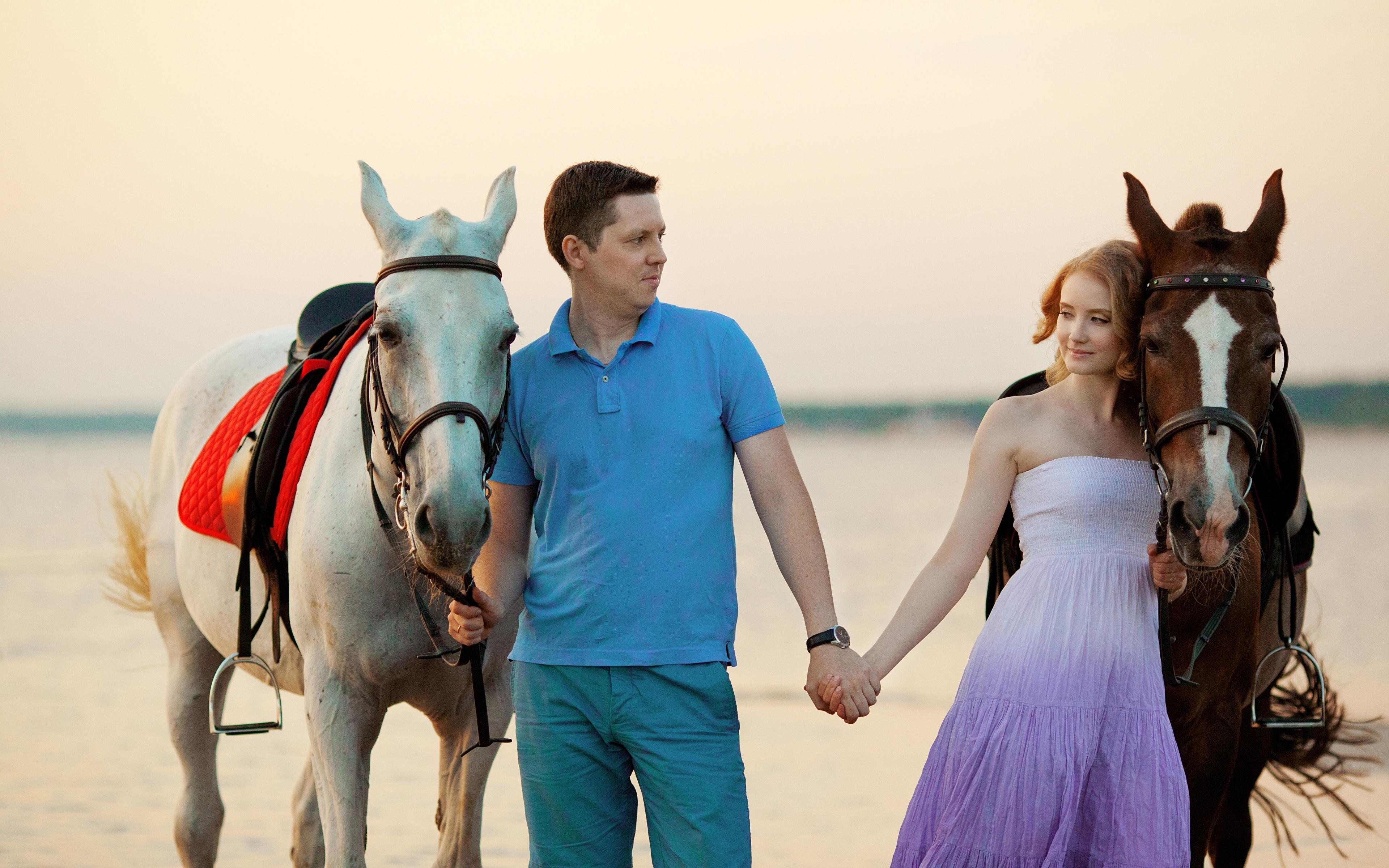 Photo Animals Horses Men Couples in love Dating Girls 3840x2400