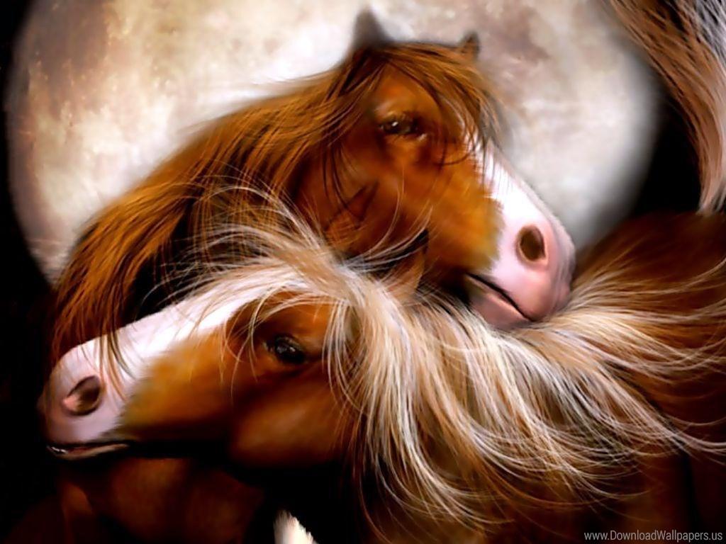 Horses In Love Wallpaper