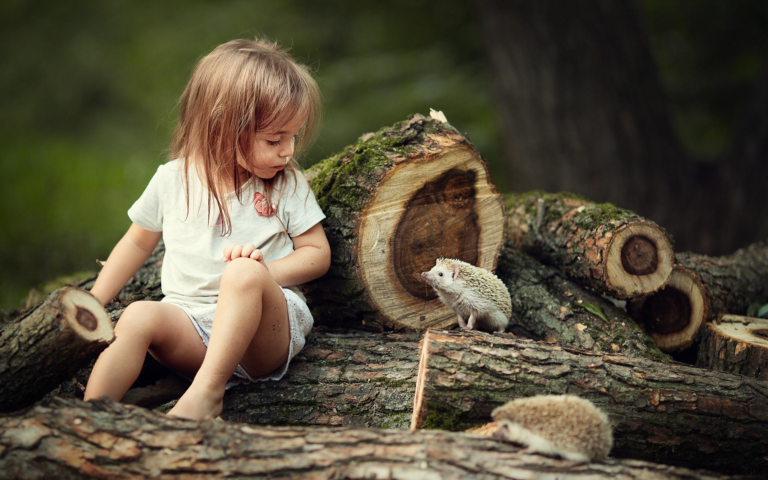 Wallpaper Cute little girl and hedgehog, friends 2560x1600 HD
