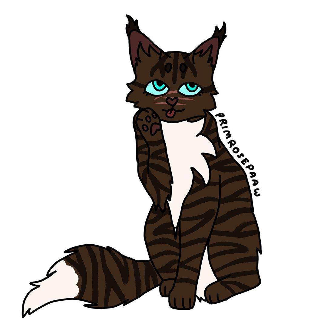 Hawkpaw • Browse image about Hawkpaw at Instagram -Imgrum