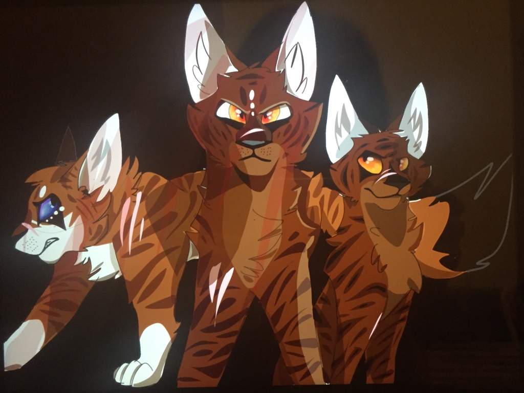 Tigerstar, Brambleclaw, and Hawkfrost