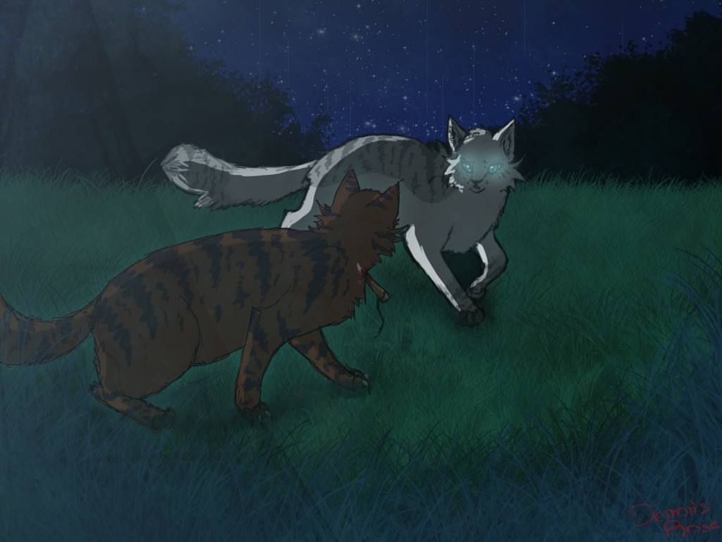 Posts tagged as #ivyxhawk