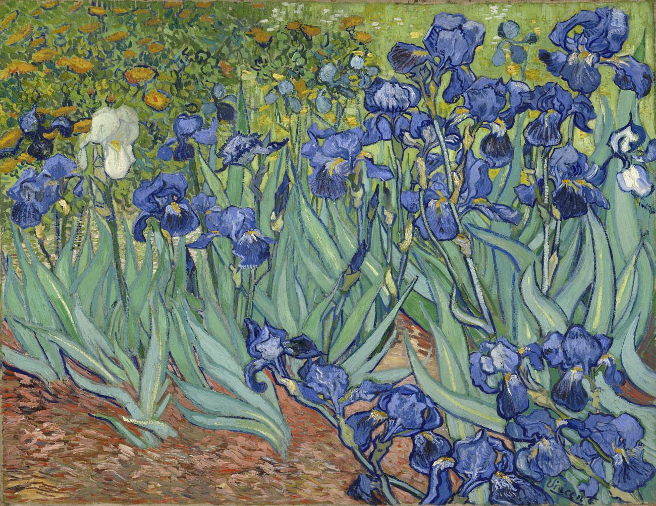 Loving Vincent Wallpapers Wallpaper Cave Loving Vincent Wallpapers Wallpaper Cave