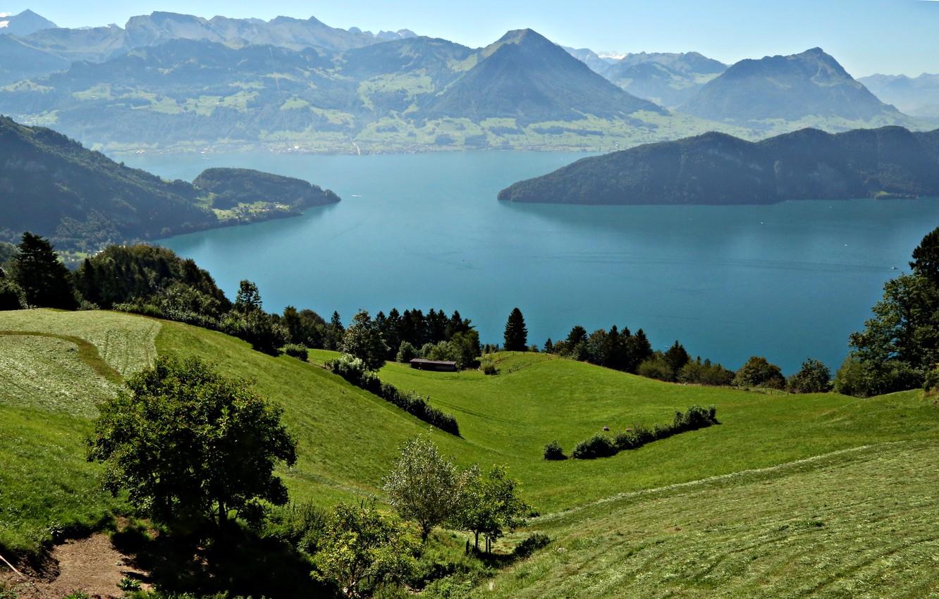 Wallpaper mountains, lake, field, Switzerland, meadows, Lake Lucerne
