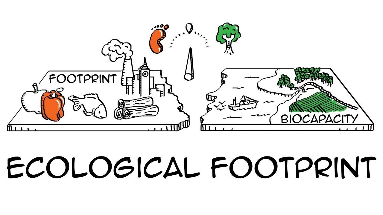 Ecological footprint: Do we fit on our planet?