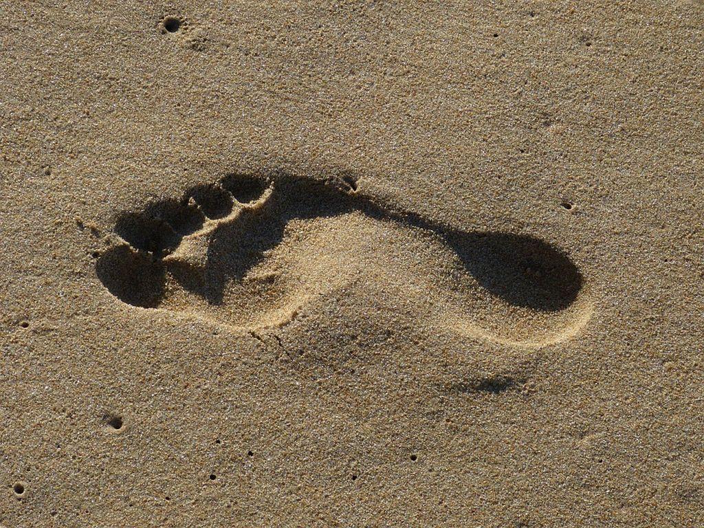 Your ecological footprint