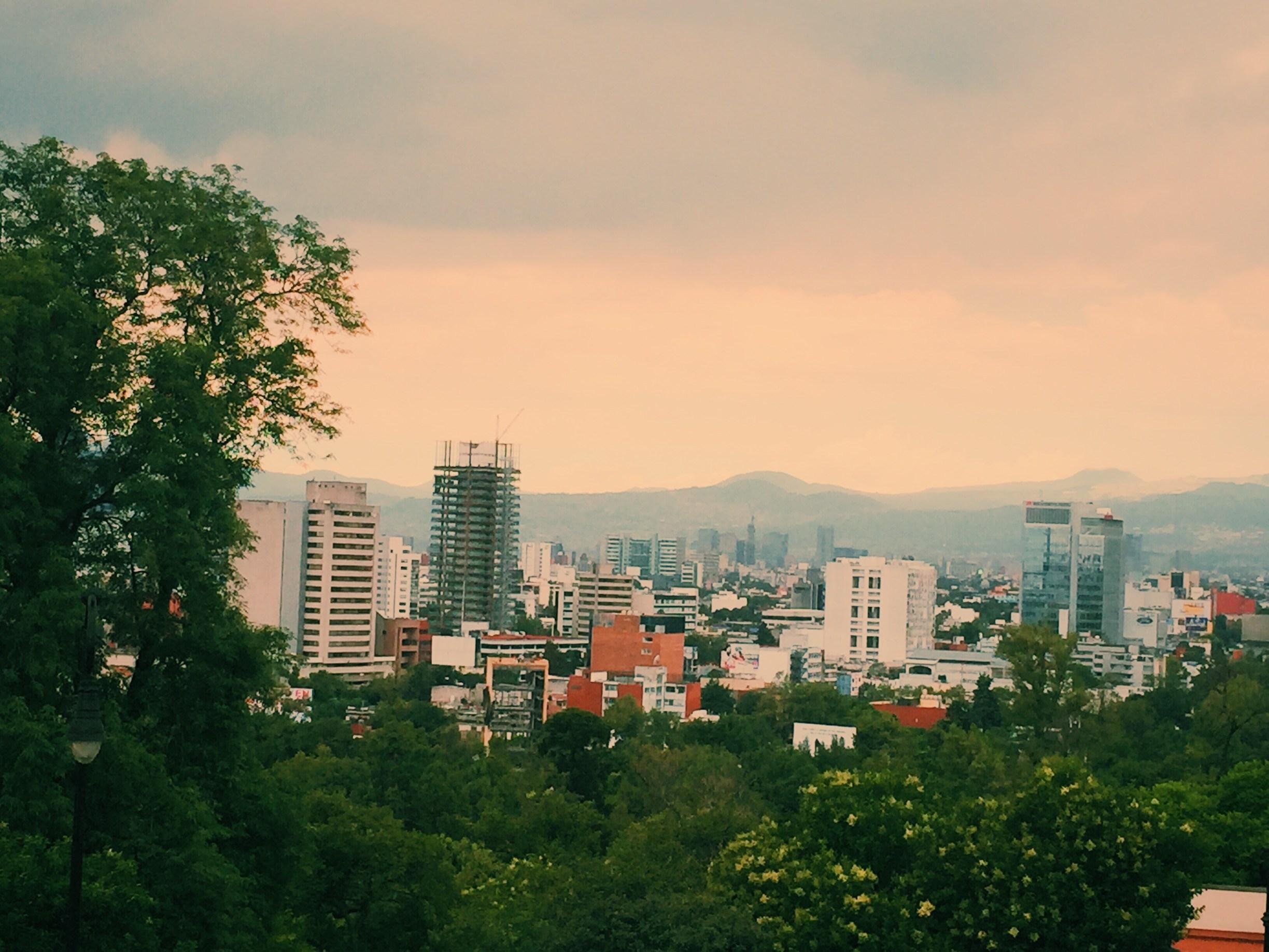 Reduce Your Ecological Footprint: 23 Ways to Get Started